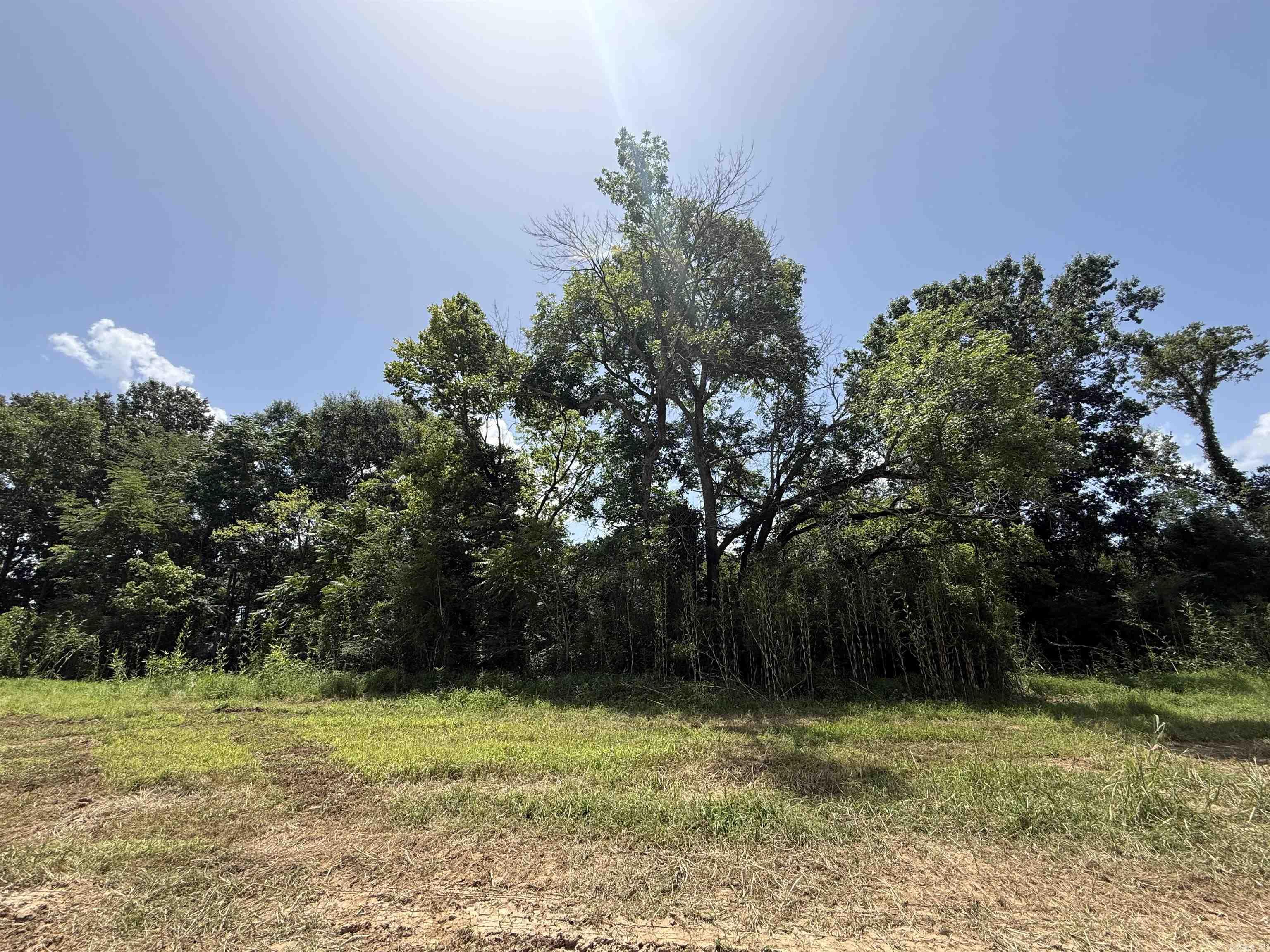 Lot 62 Down River Property Photo 3