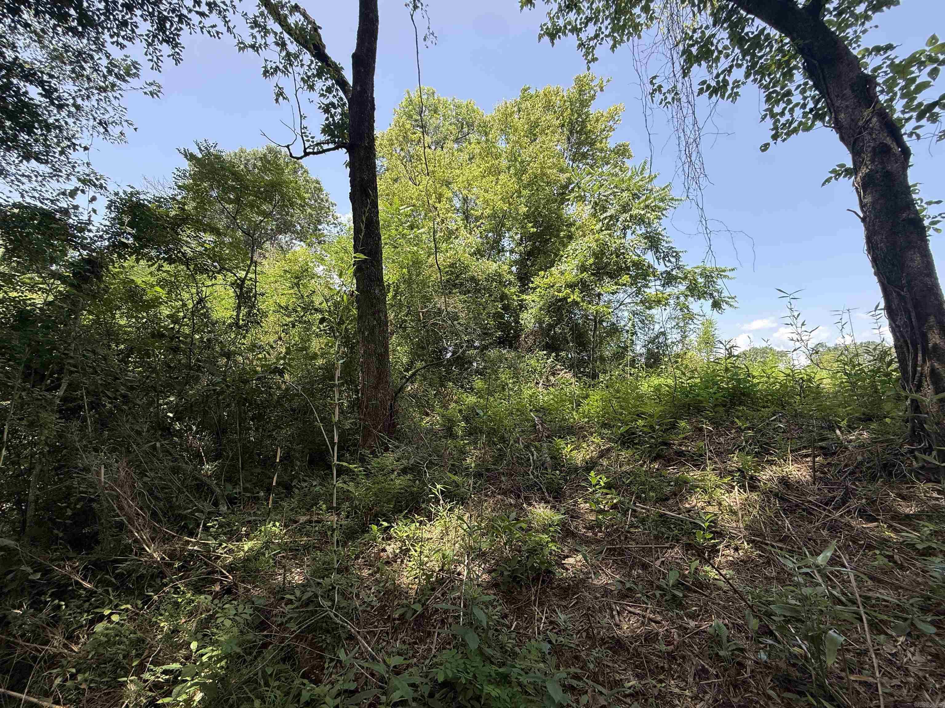 Lot 62 Down River Property Photo 4