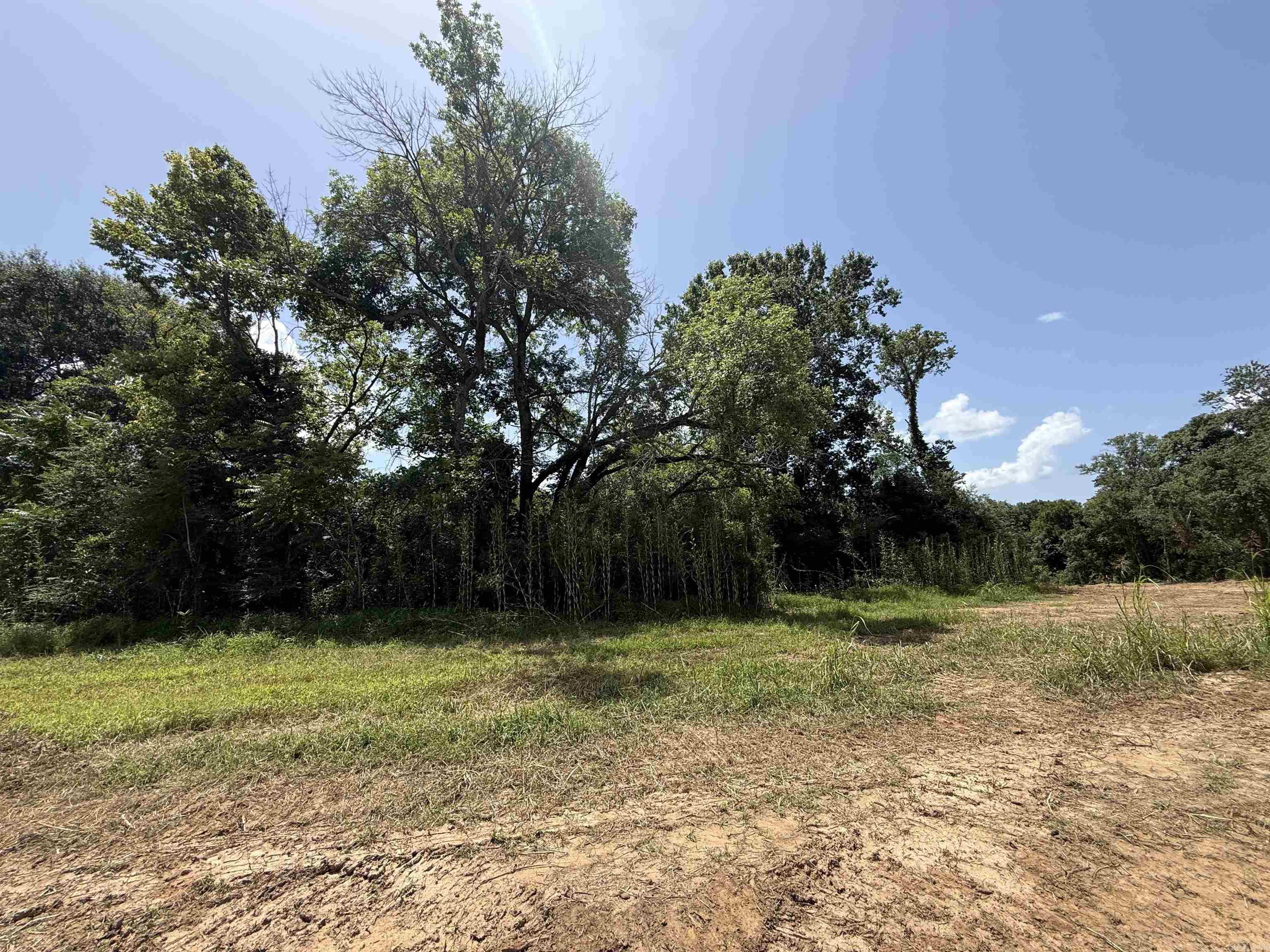 Lot 62 Down River Property Photo 6