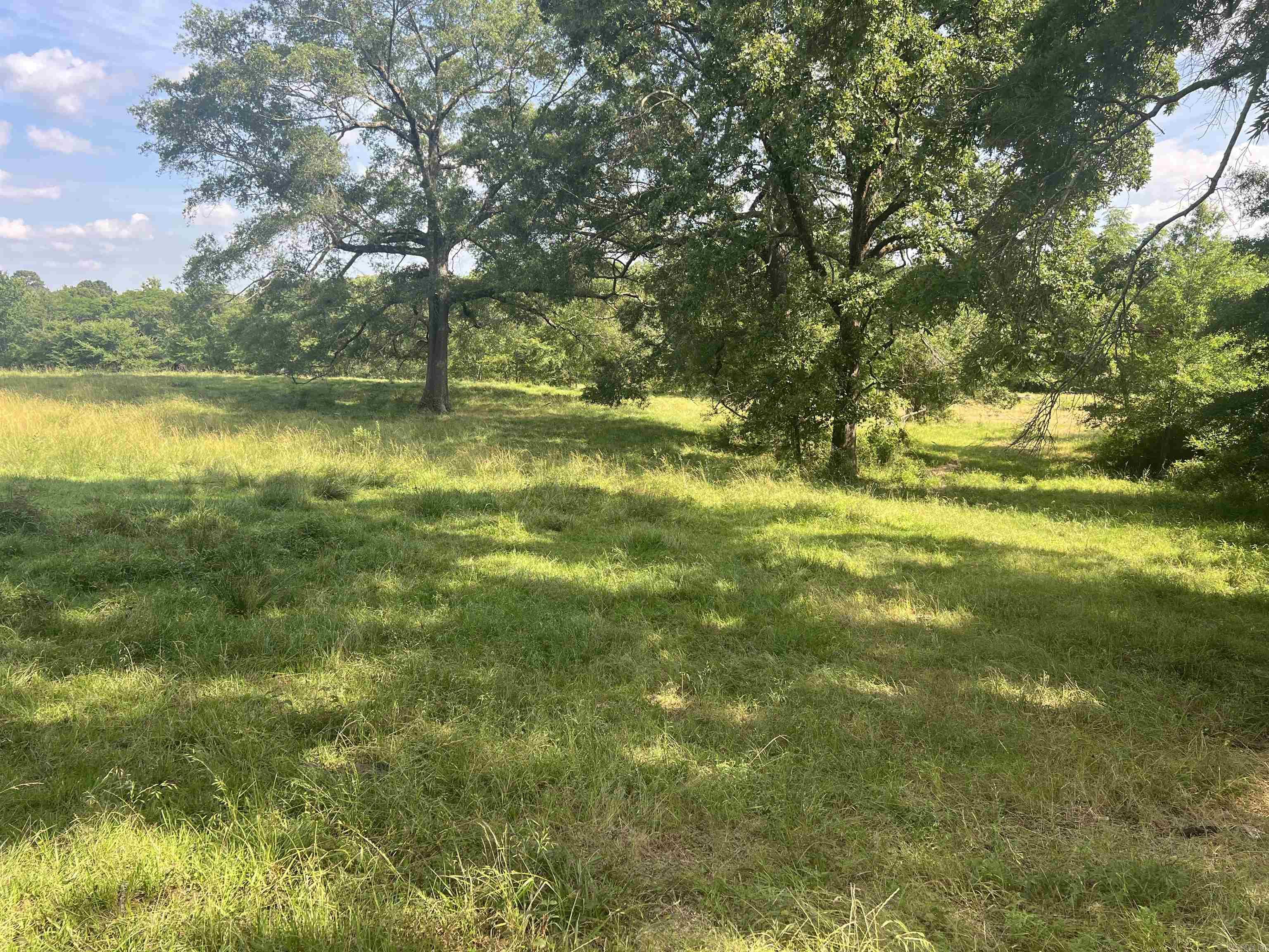 Xx Mt View Property Photo 4