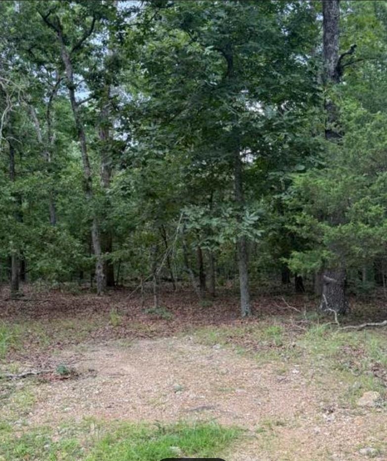 Lots 9 & 10 Tuscon Ln Property Photo 3