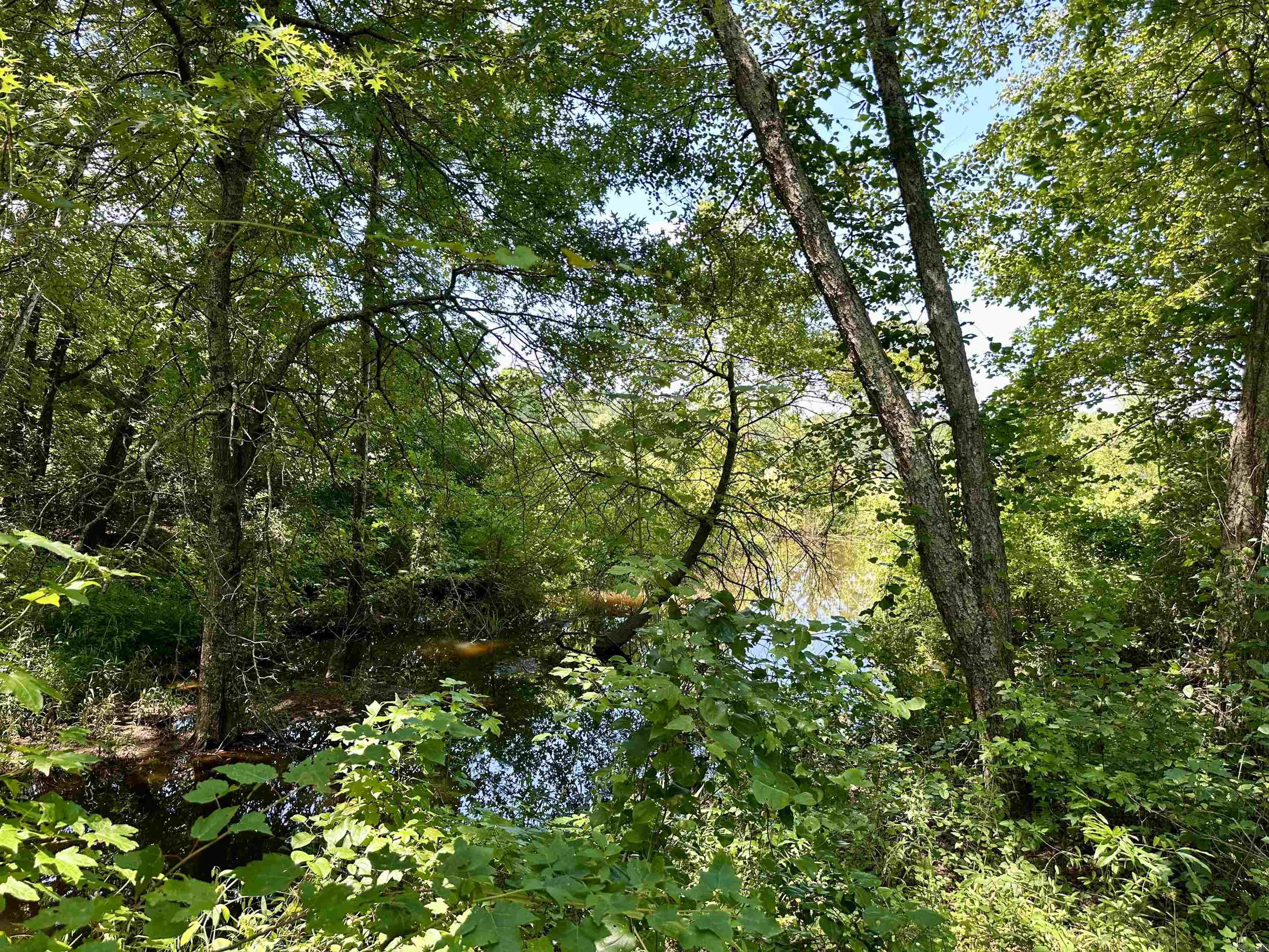 1627 Petit Jean Mountain Road Property Photo 28