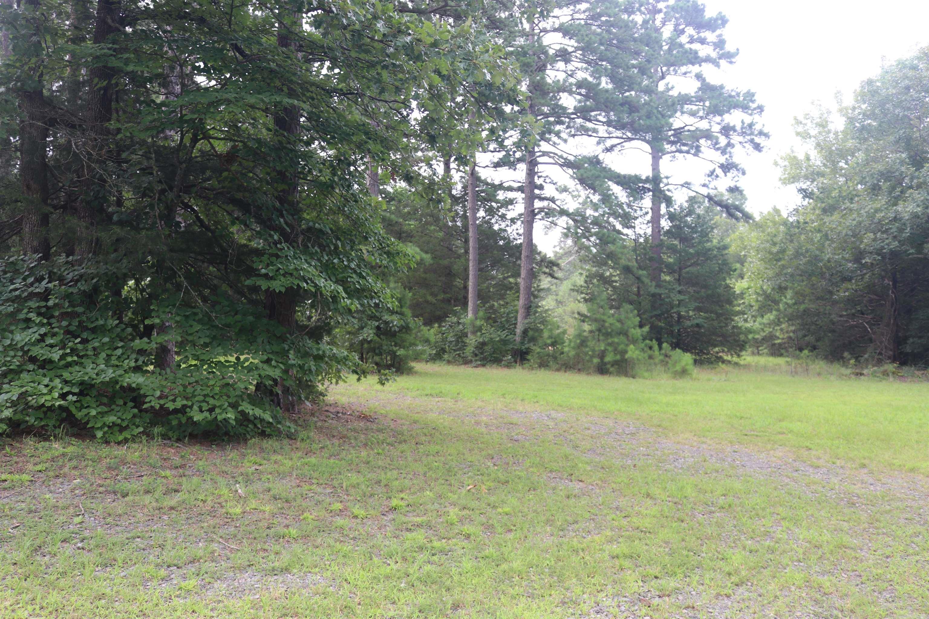 1133 Long Branch Lane Property Photo 18