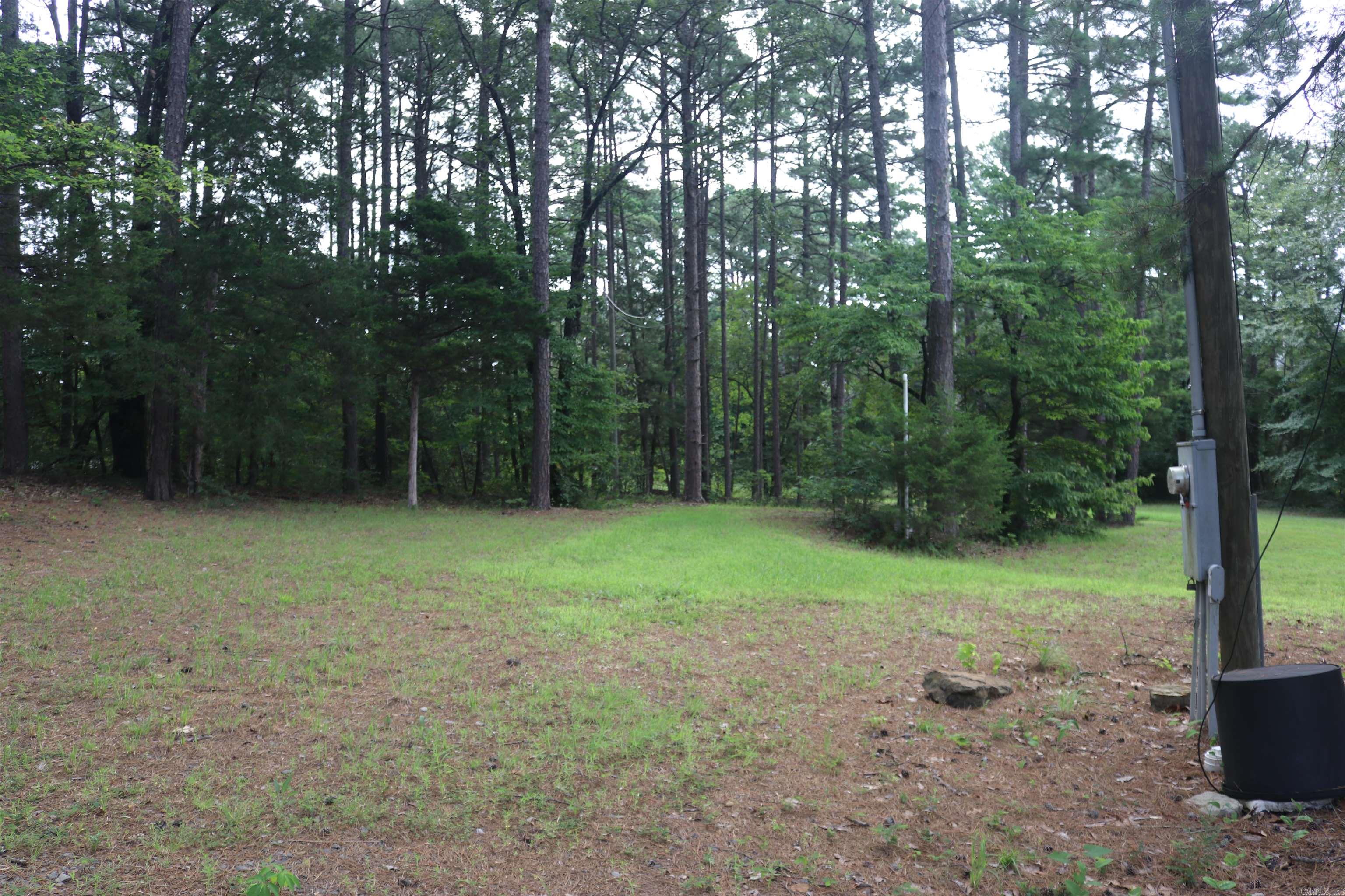1133 Long Branch Lane Property Photo 35