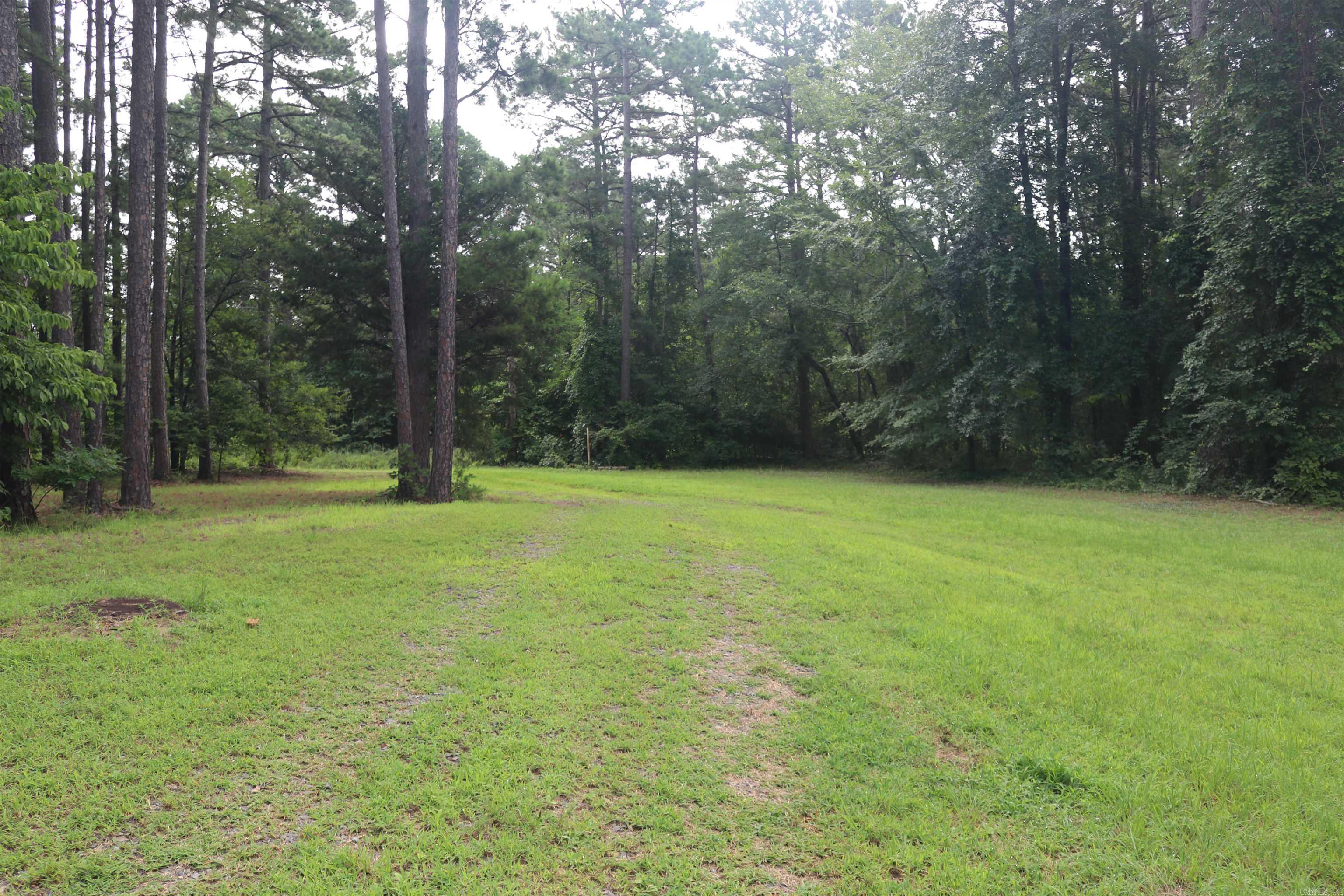 1133 Long Branch Lane Property Photo 38