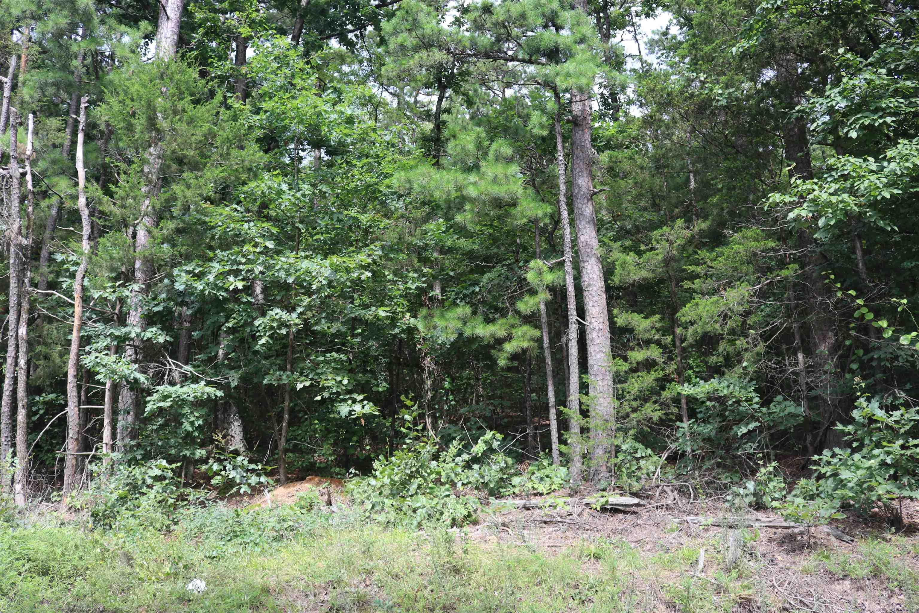 1133 Long Branch Lane Property Photo 49