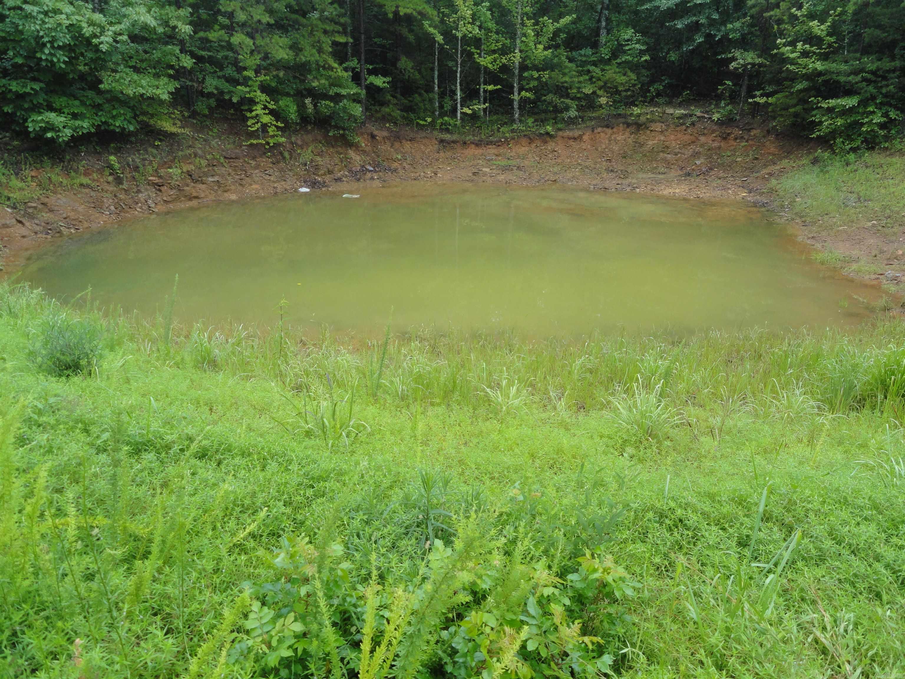 8791 Hwy 254 E Property Photo 11