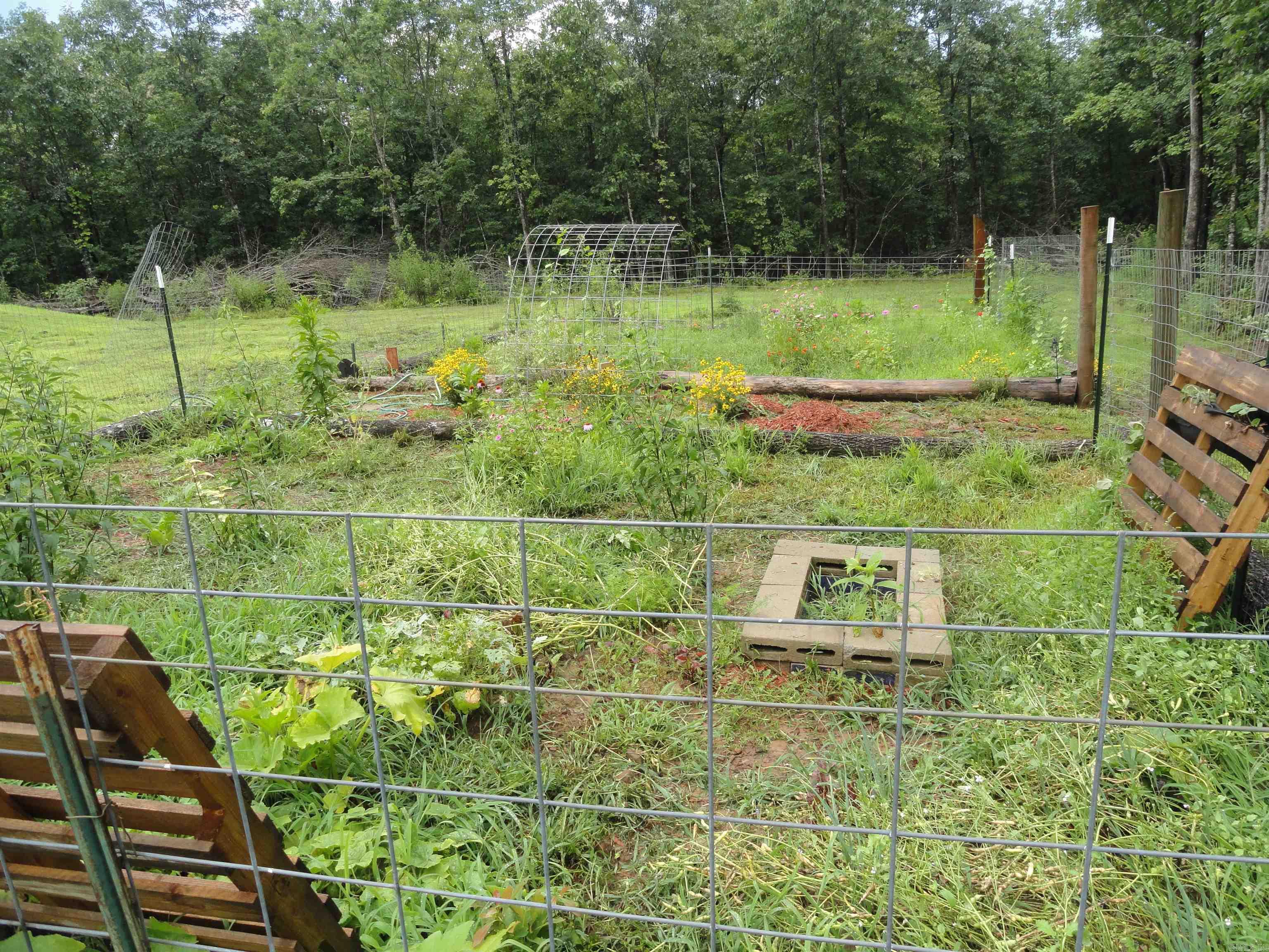 8791 Hwy 254 E Property Photo 12