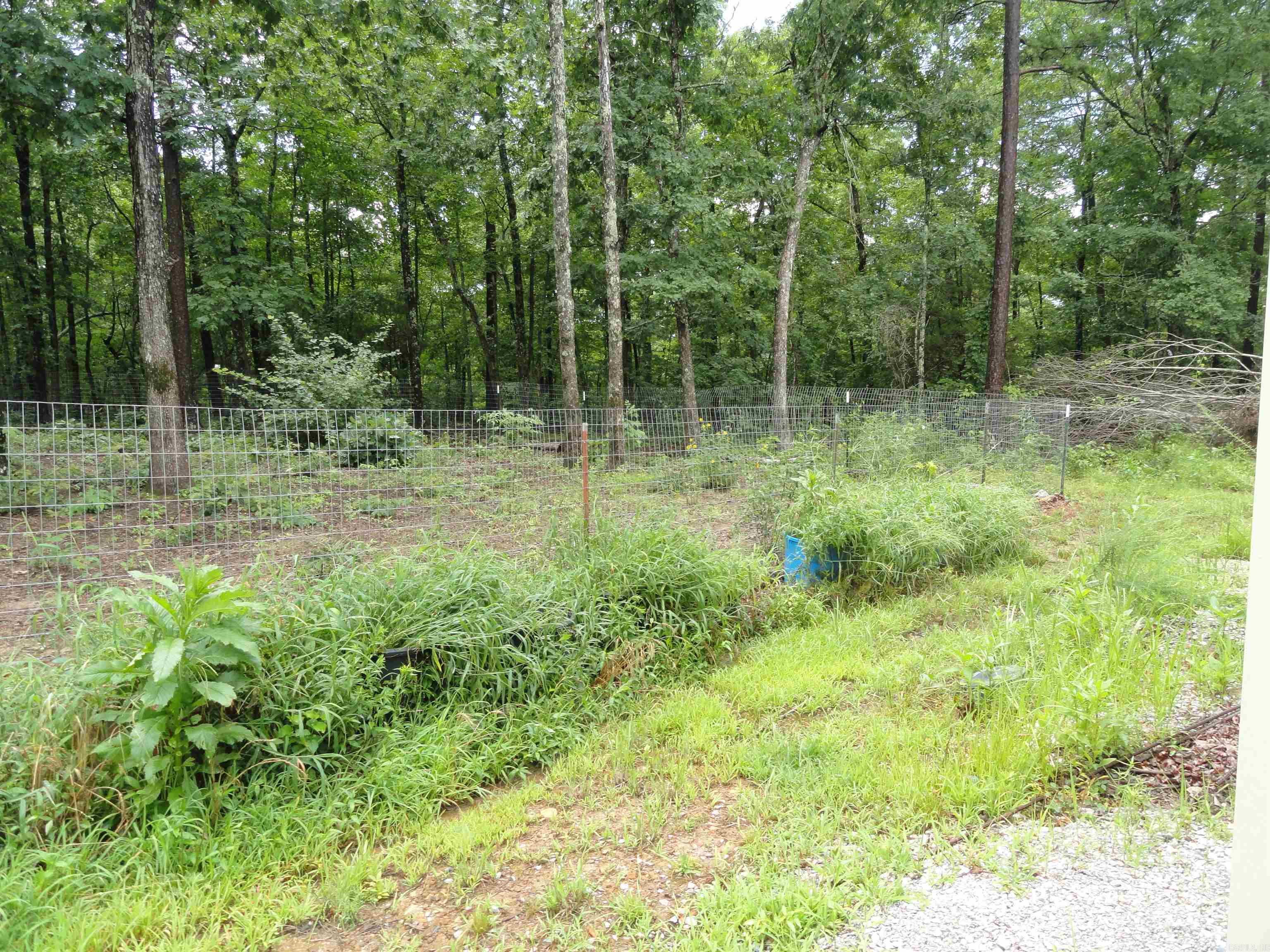 8791 Hwy 254 E Property Photo 19