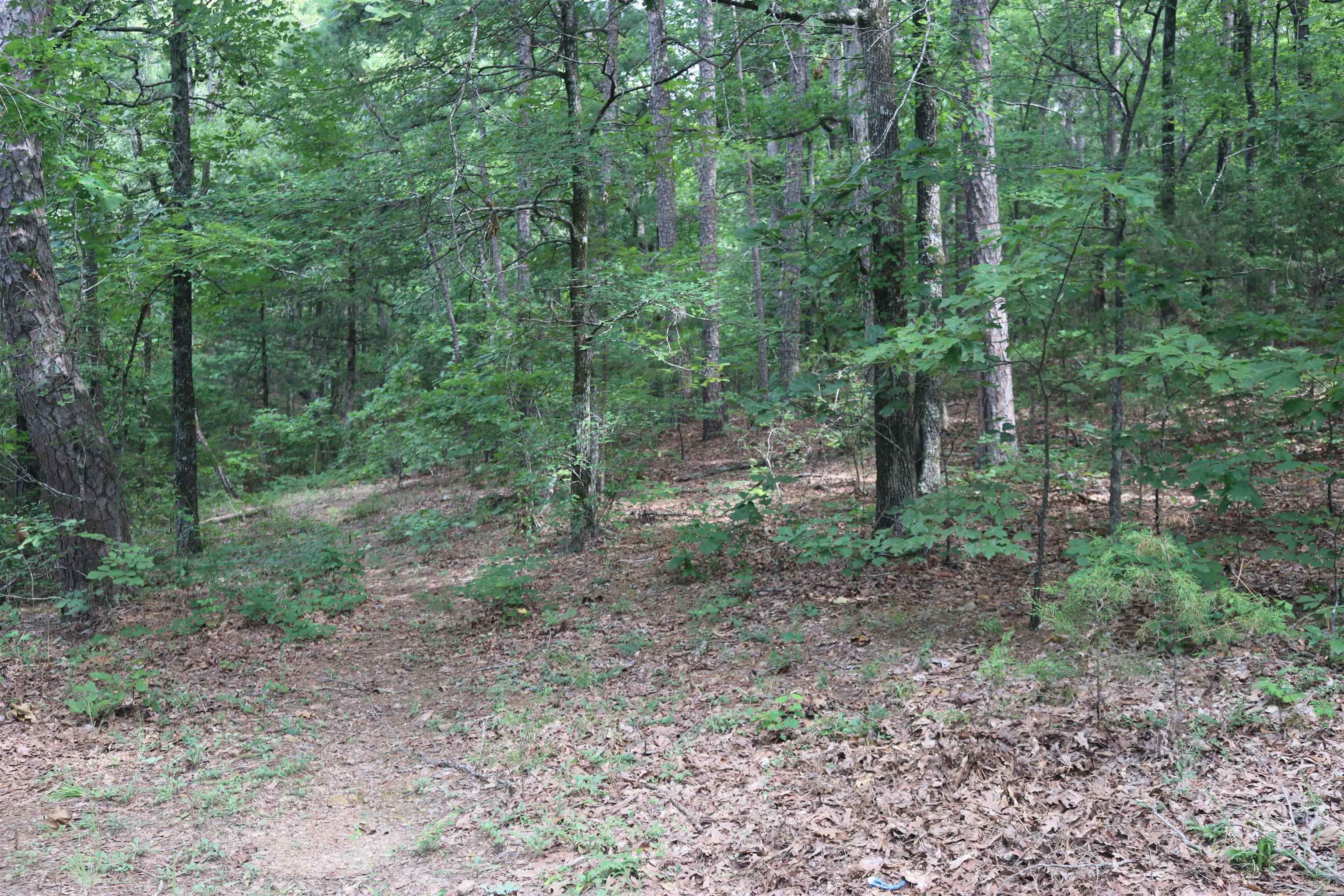 Long Branch Lane Property Photo 1