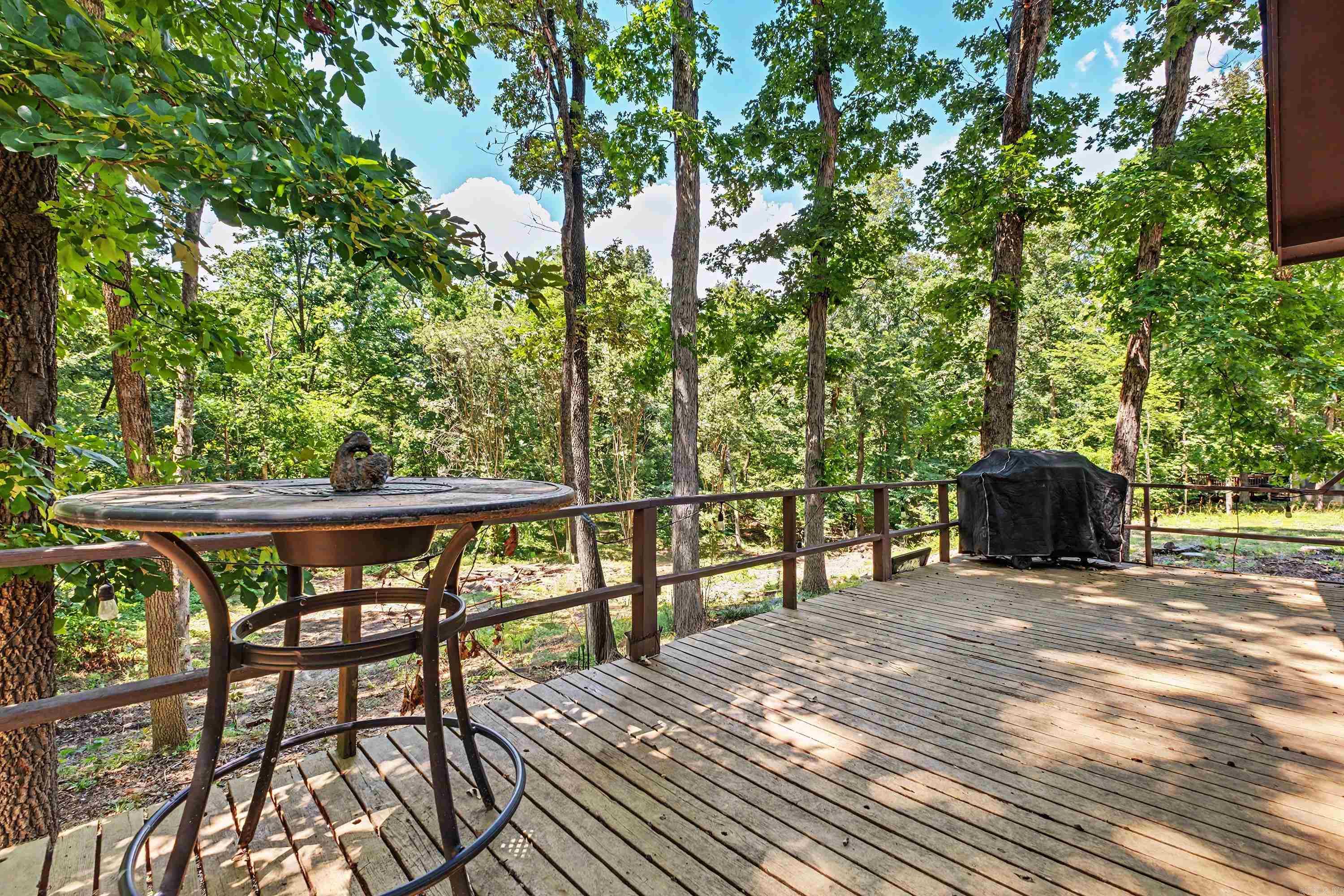 924 Cove Creek Road Property Photo 34