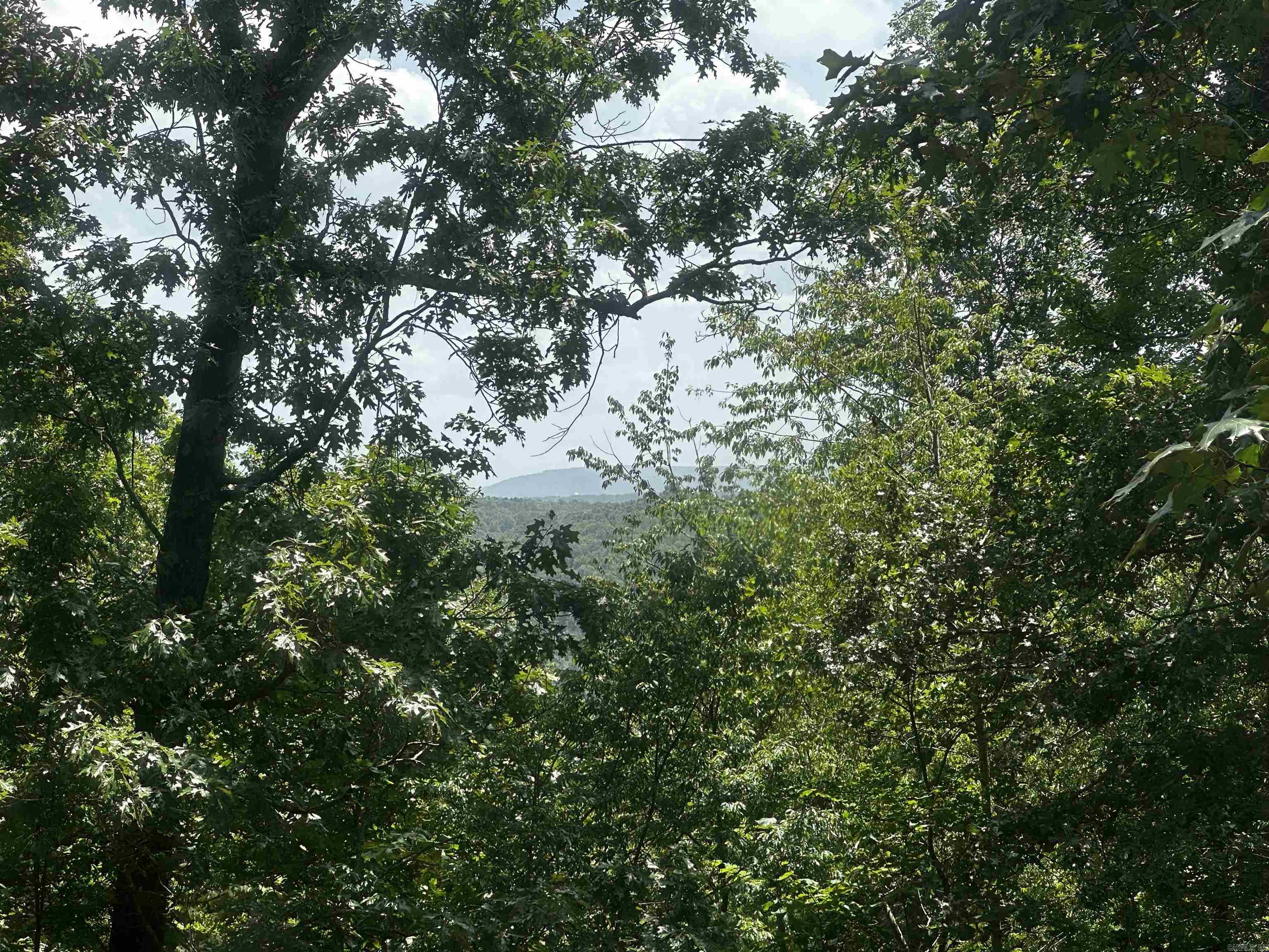 299 Buck Pond Road Property Photo 18