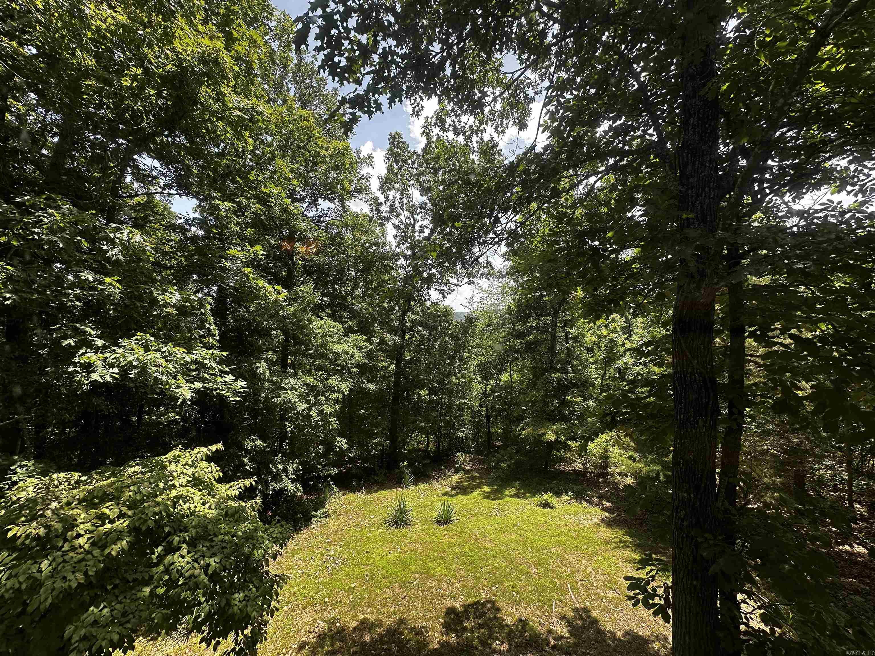 299 Buck Pond Road Property Photo 19