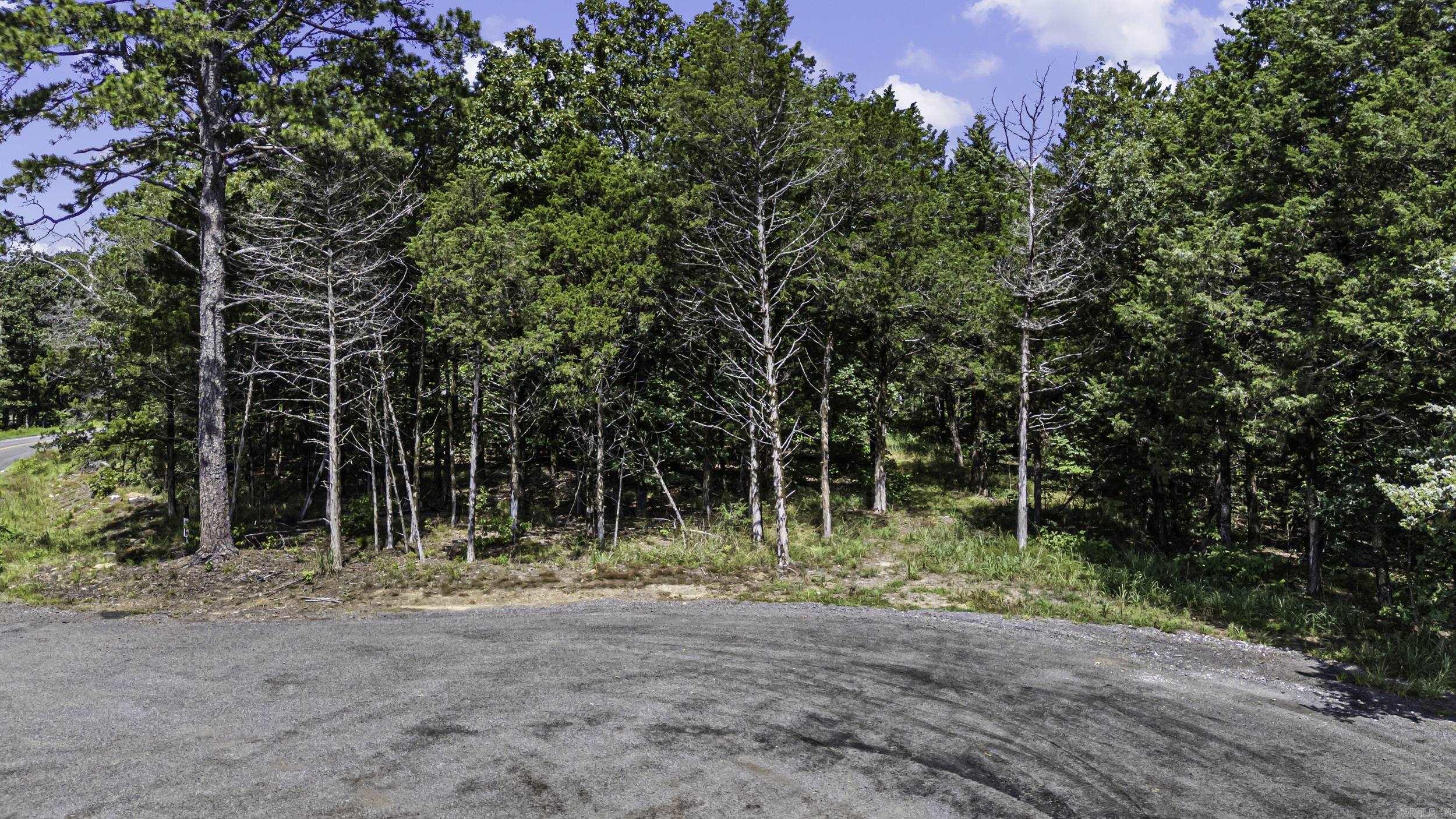 553 Apple Lane Property Photo 1