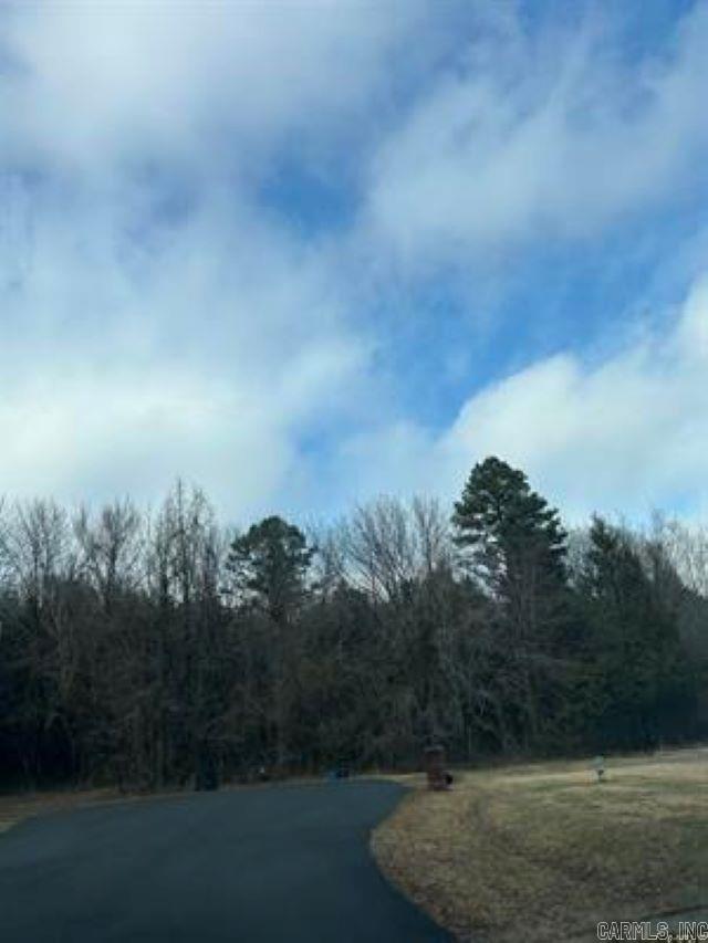 00 Blake Cove Lane Property Photo 1