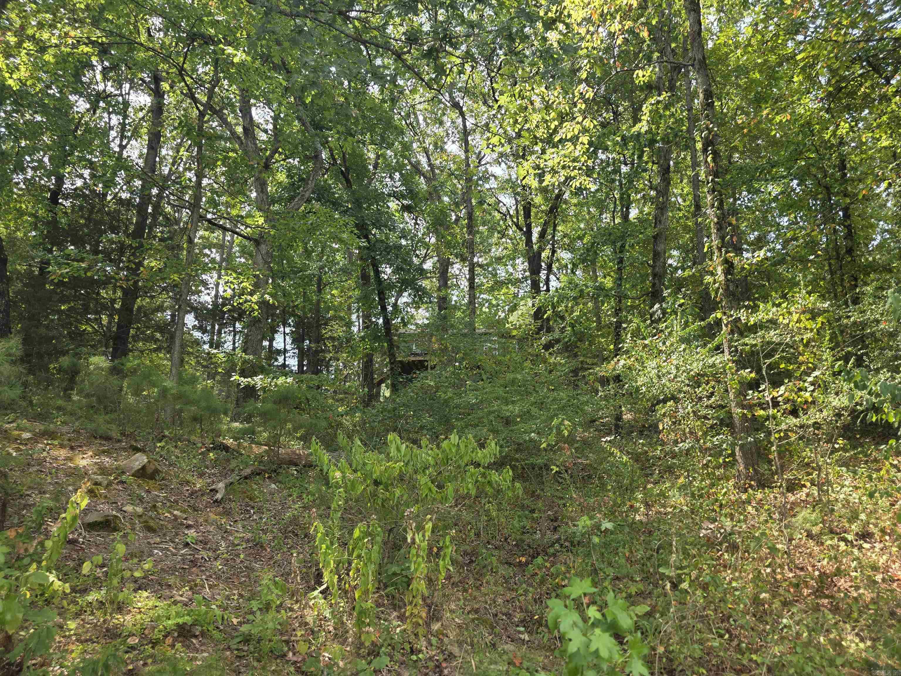 1000 Twin Cove Circle Property Photo 41