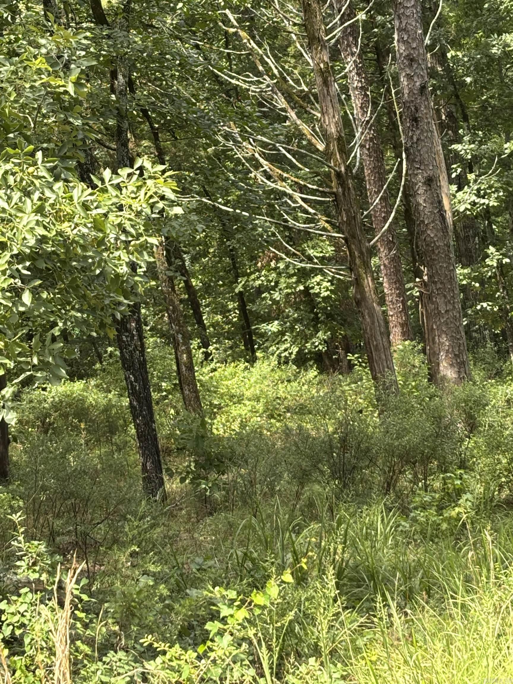 Lot 12 Boulder Boulevard Property Photo 3