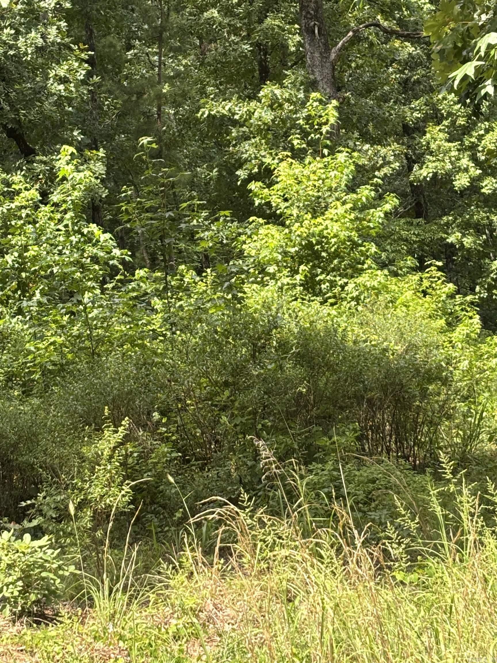 Lot 7 Boulder Boulevard Property Photo 2
