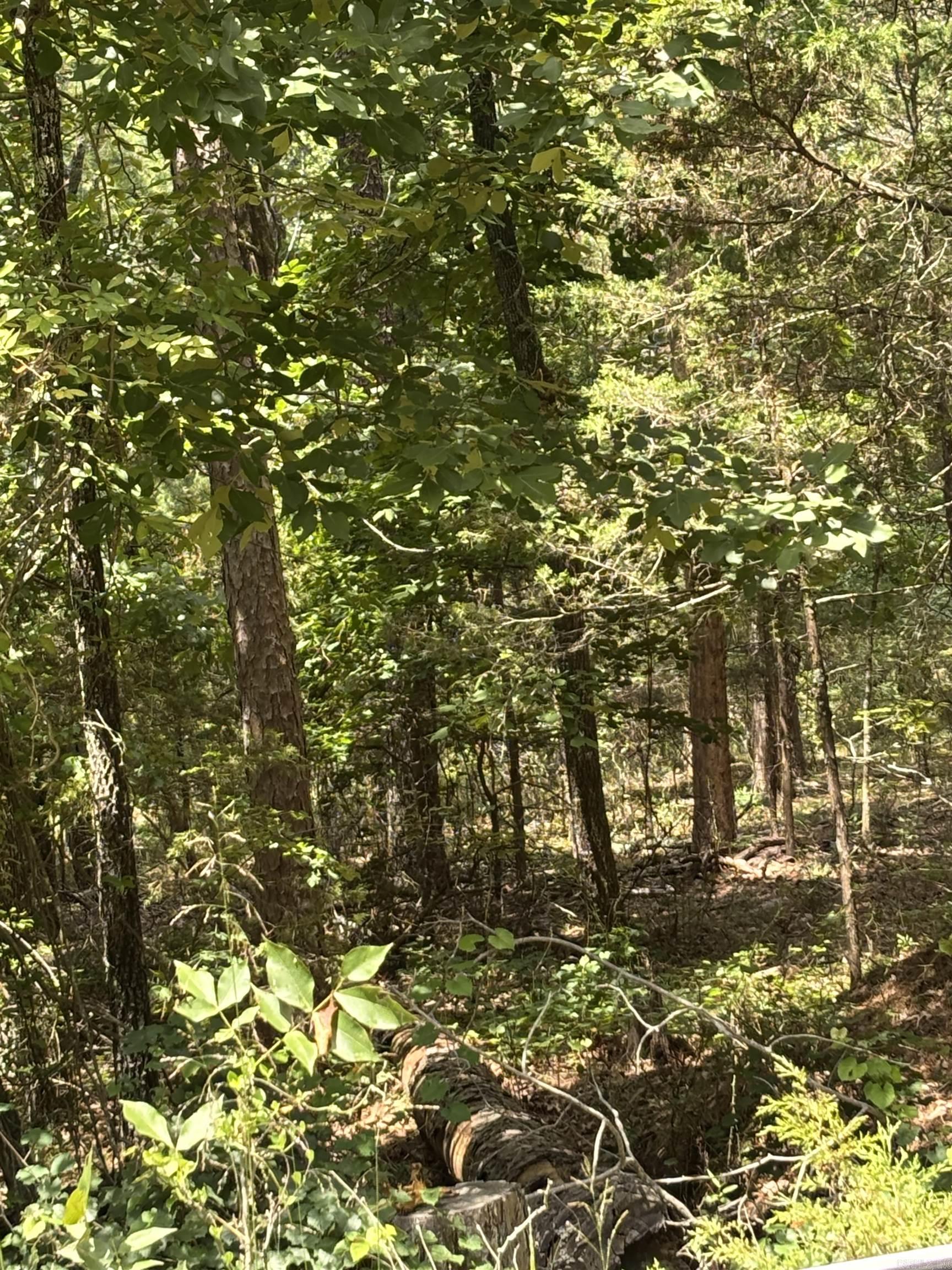 Lot 7 Boulder Boulevard Property Photo 4