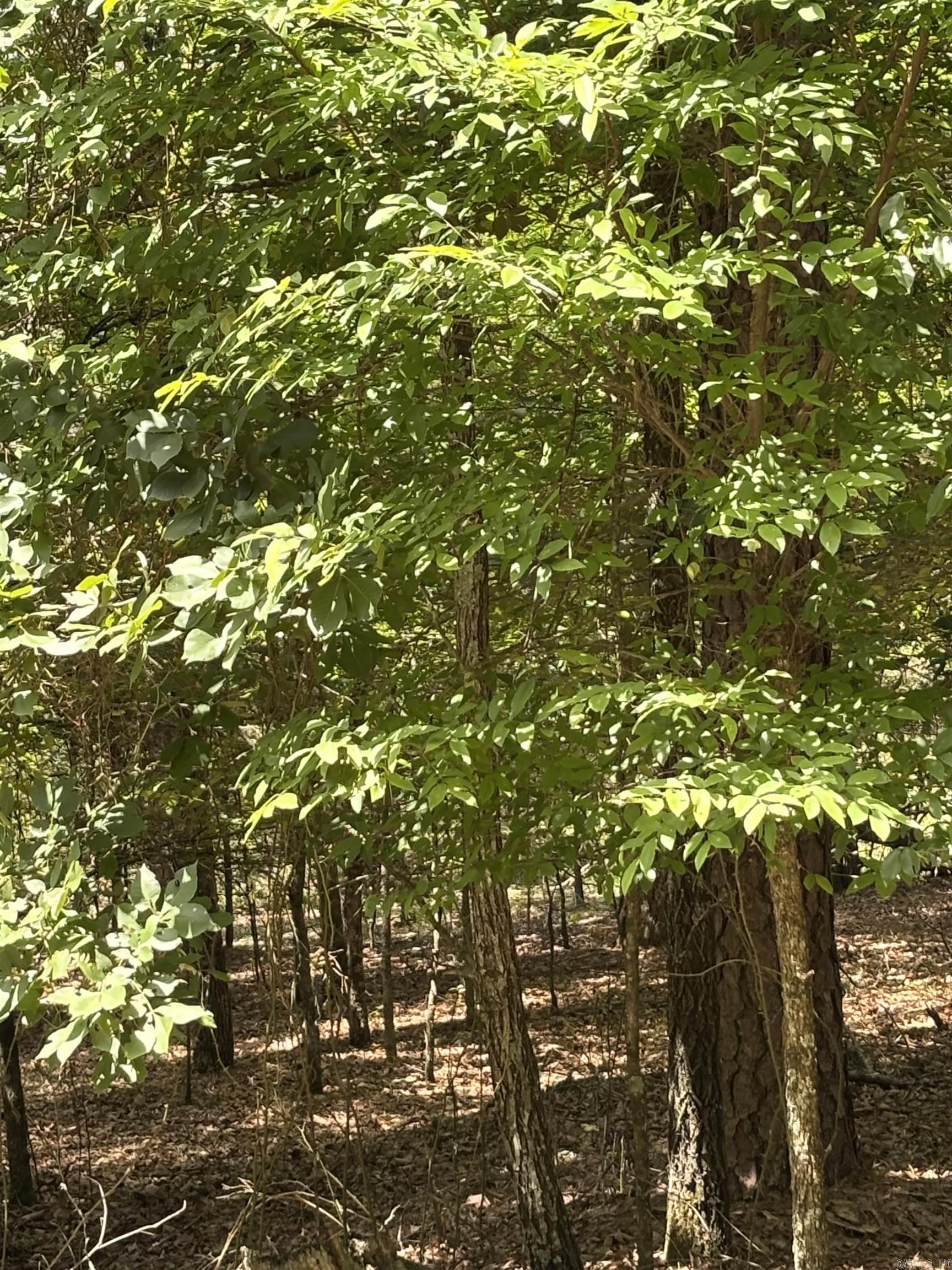 Lot 7 Boulder Boulevard Property Photo 5