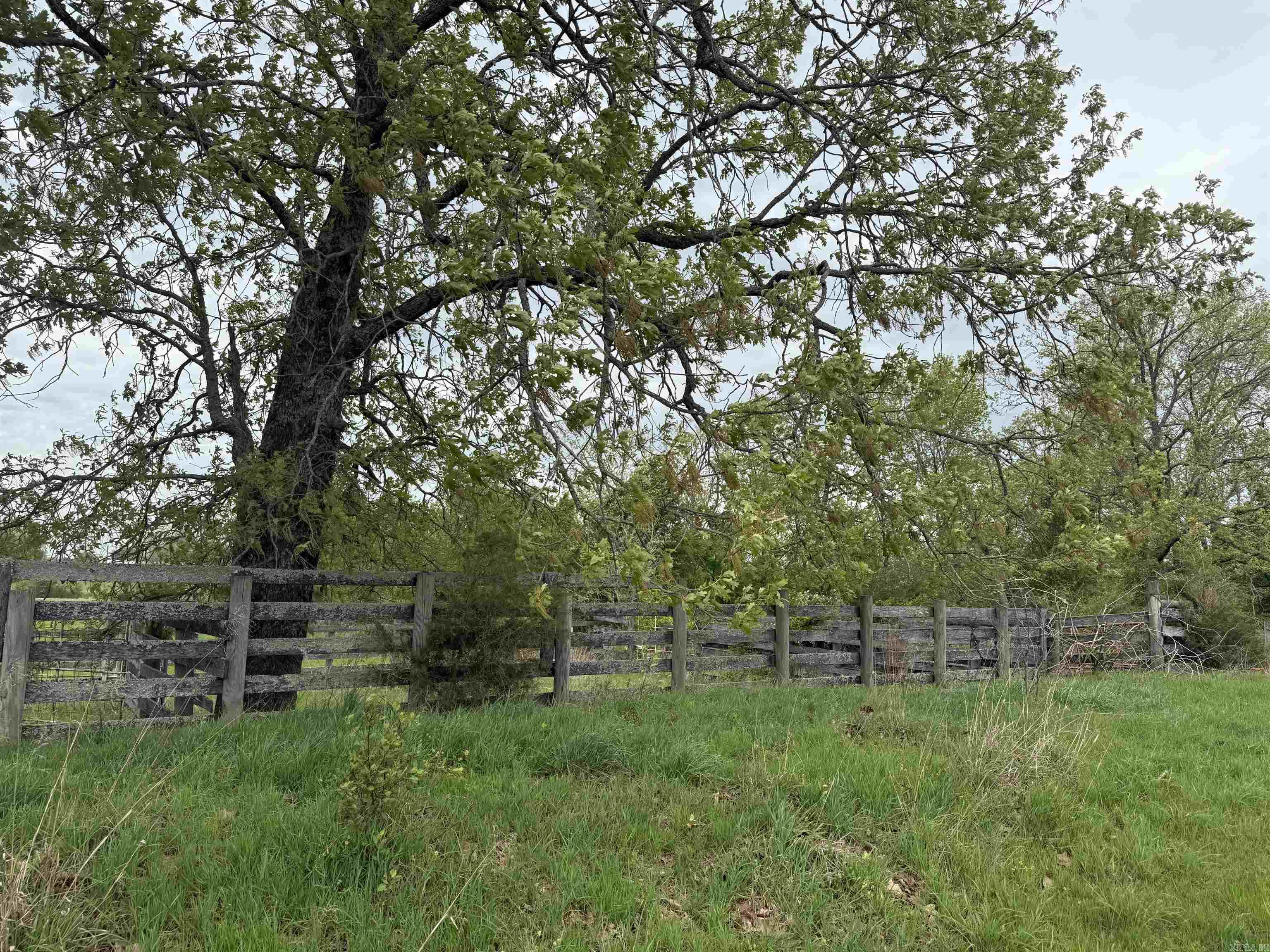 115 B Bliss Road Property Photo 13