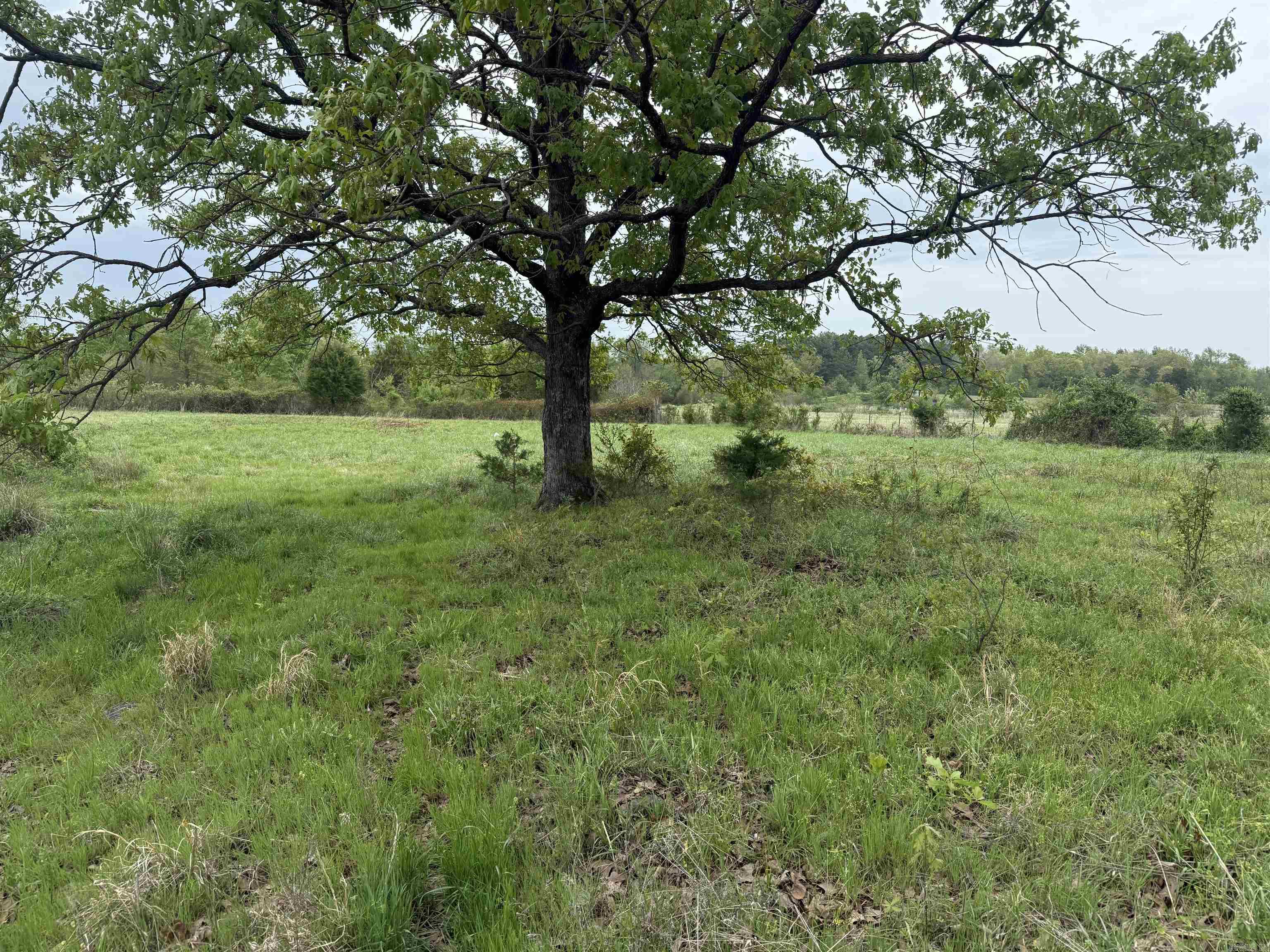 115 B Bliss Road Property Photo 28