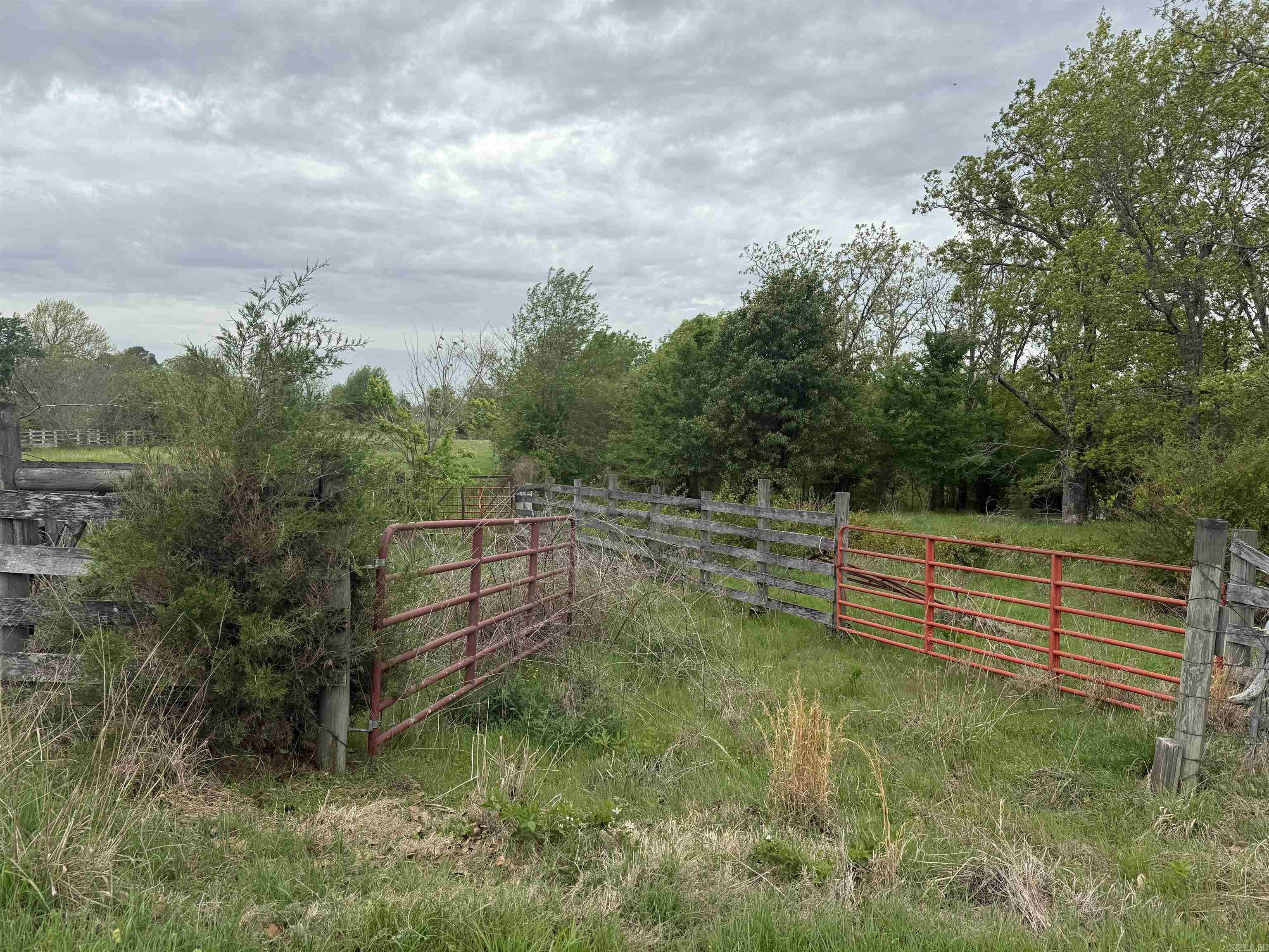 115 B Bliss Road Property Photo 47