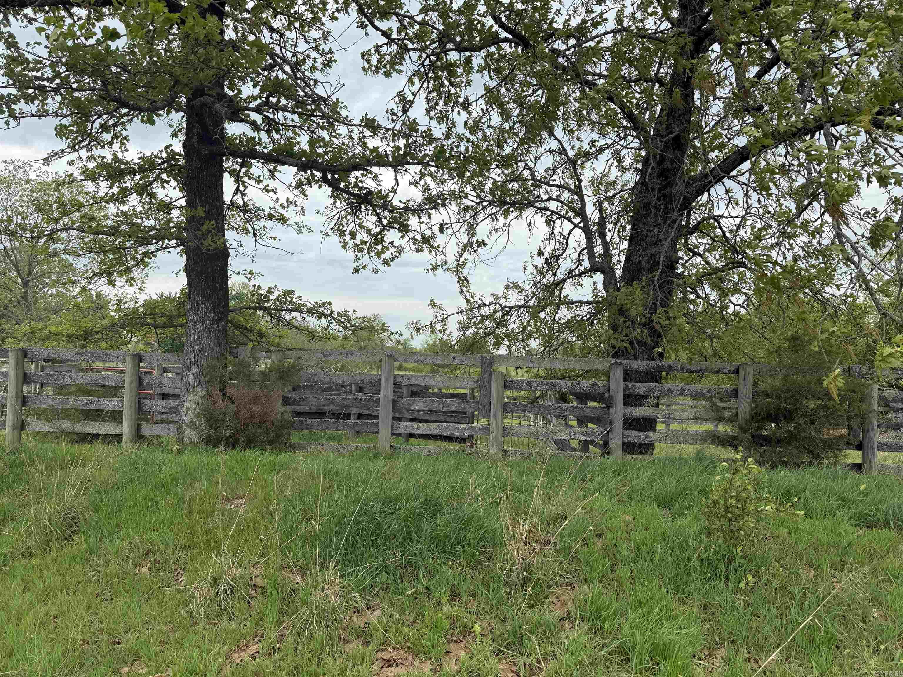 115 B Bliss Road Property Photo 49