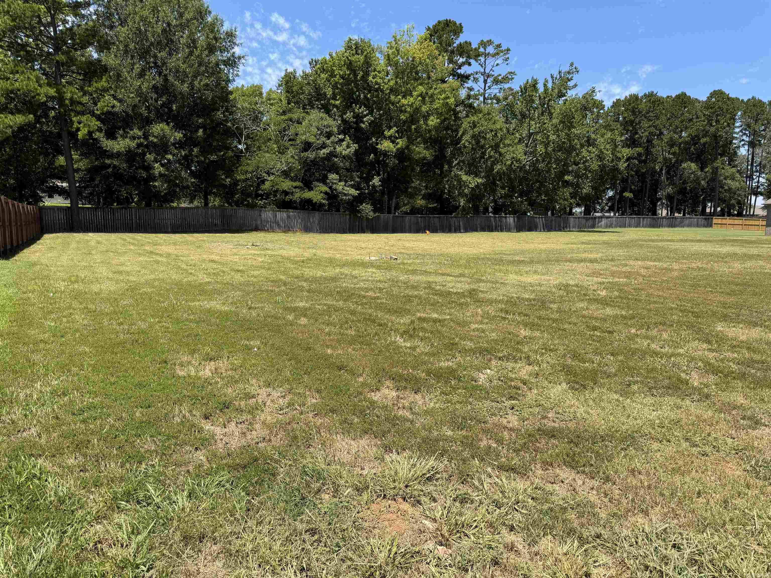 113 Timberland Trail Property Photo 4