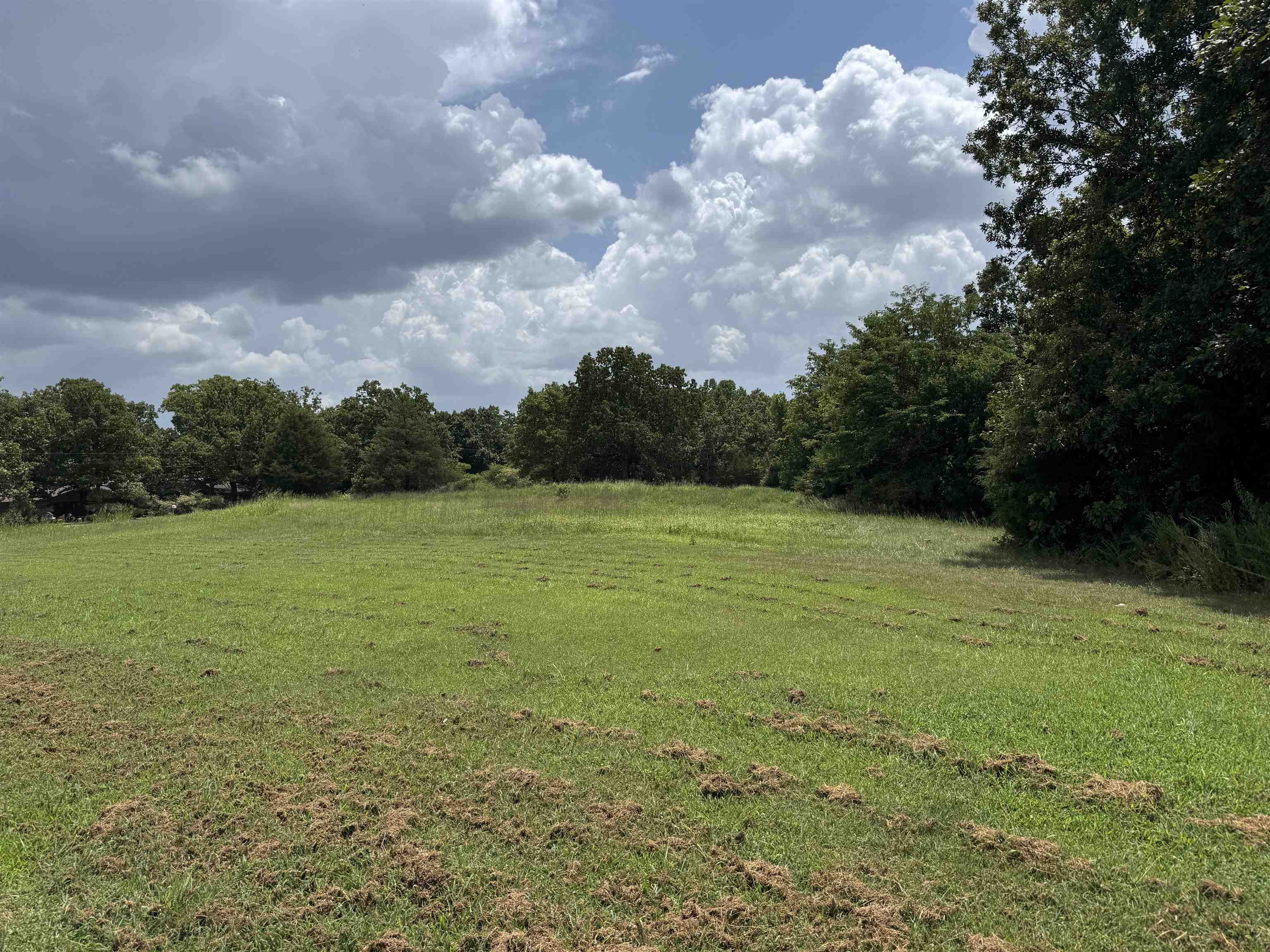 Tbd Alma Drive Property Photo 1