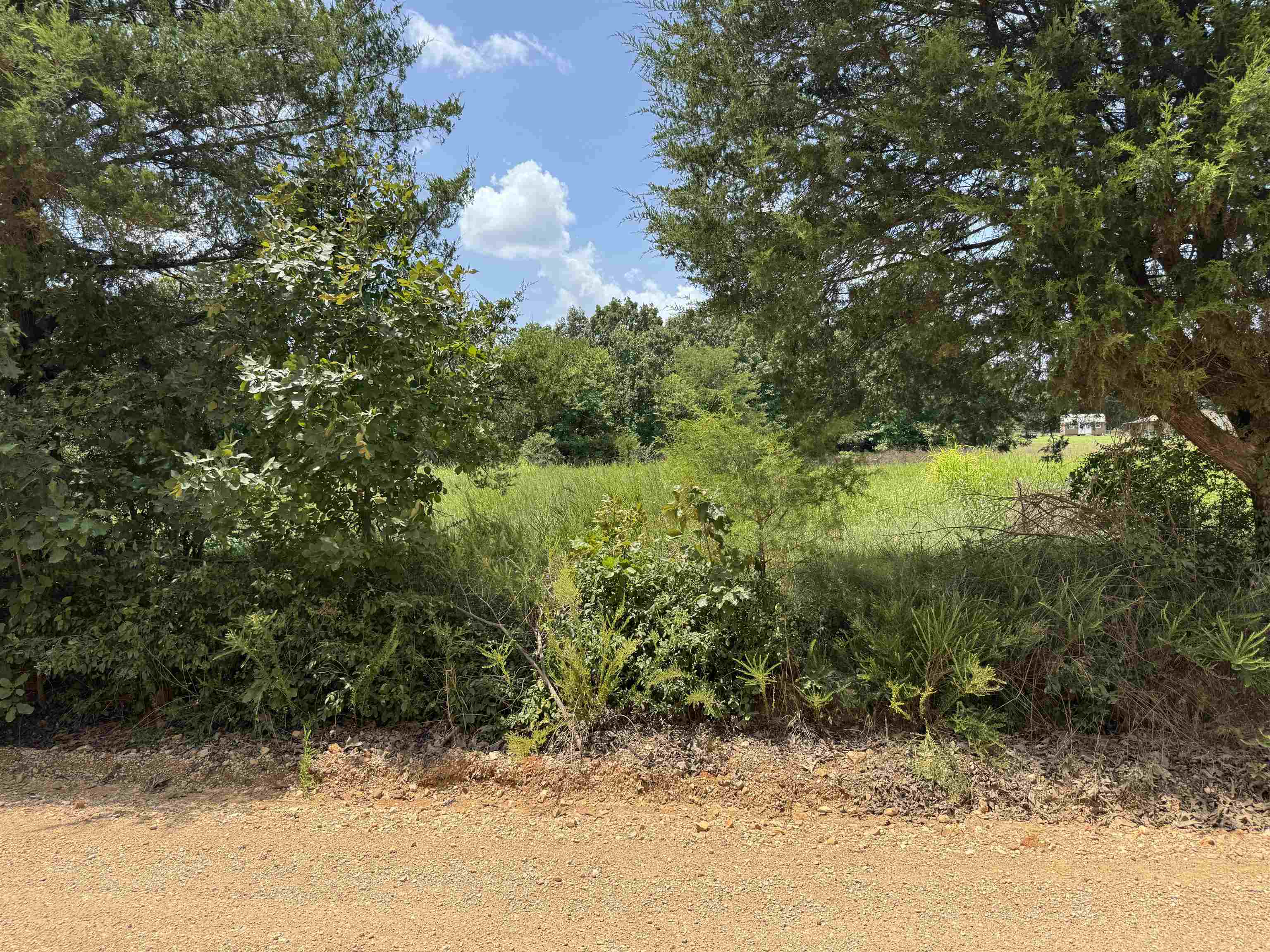 Tbd Alma Drive Property Photo 2