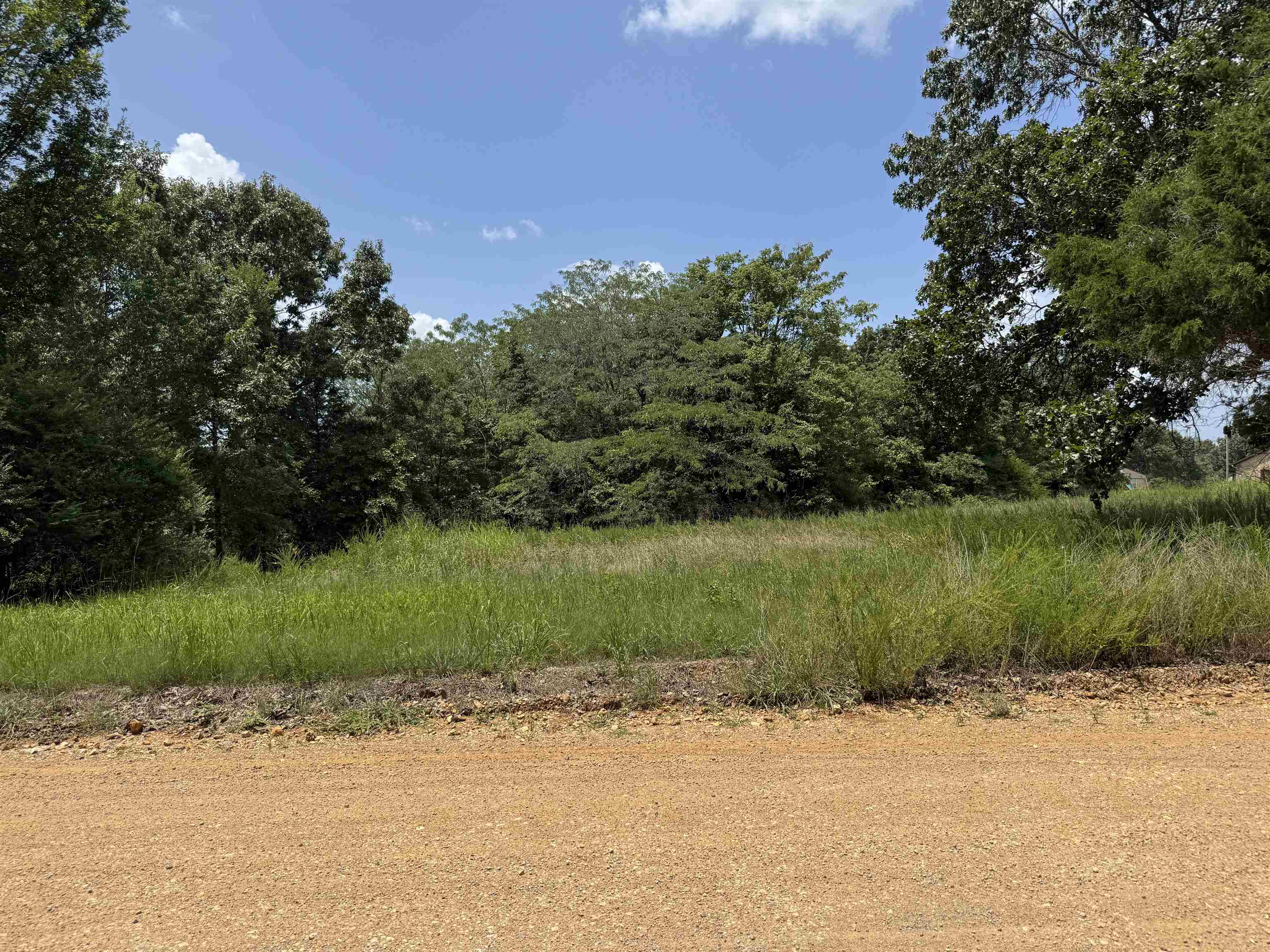 Tbd Alma Drive Property Photo 3