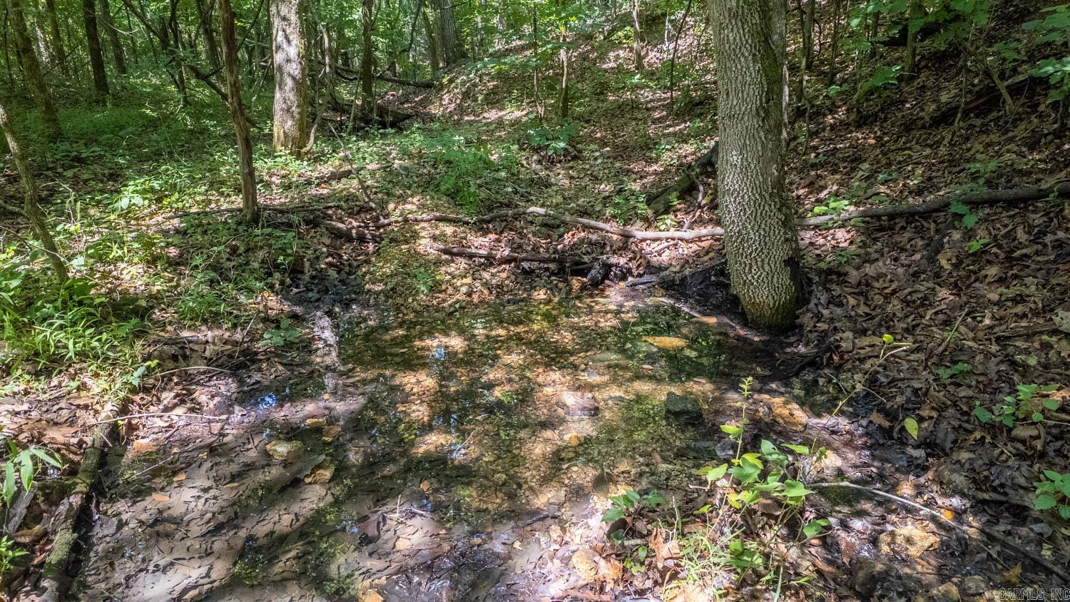 10824 Upper Janes Creek Road Property Photo 3