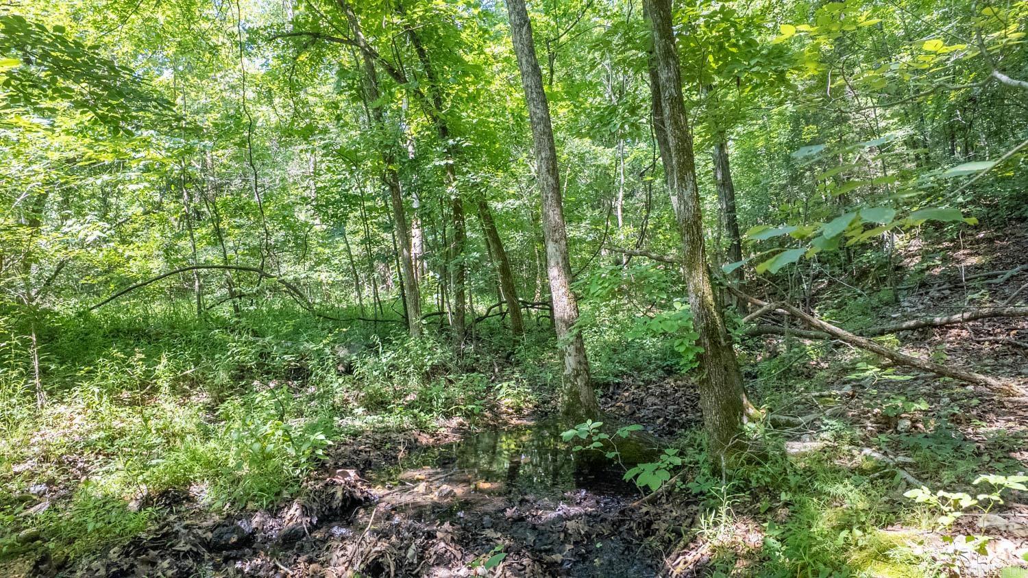 10824 Upper Janes Creek Road Property Photo 4