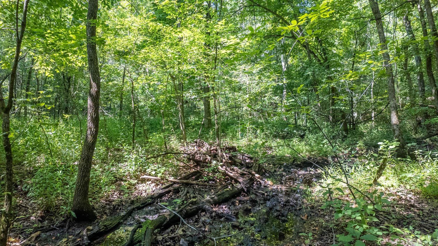 10824 Upper Janes Creek Road Property Photo 5