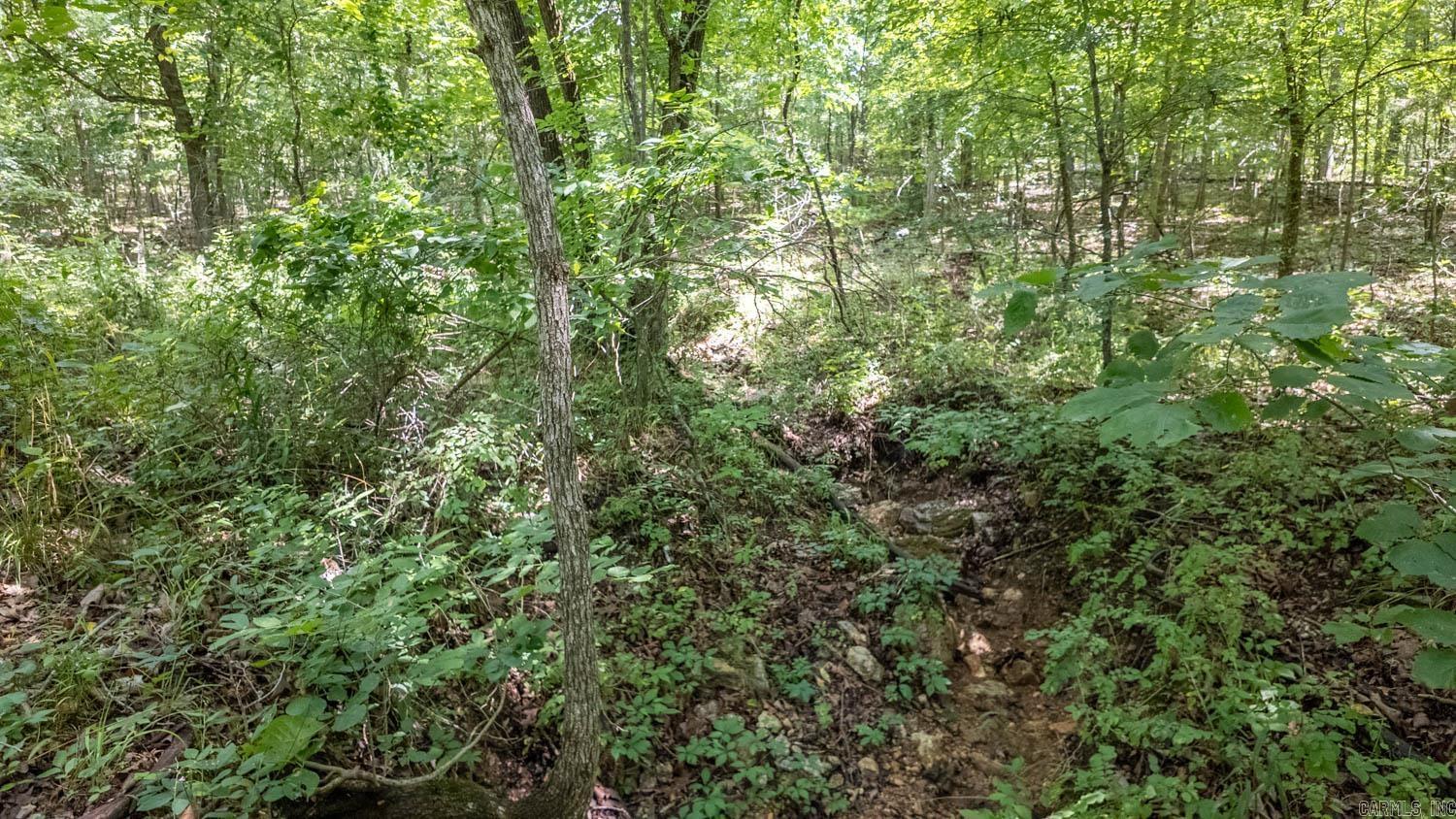 10824 Upper Janes Creek Road Property Photo 15