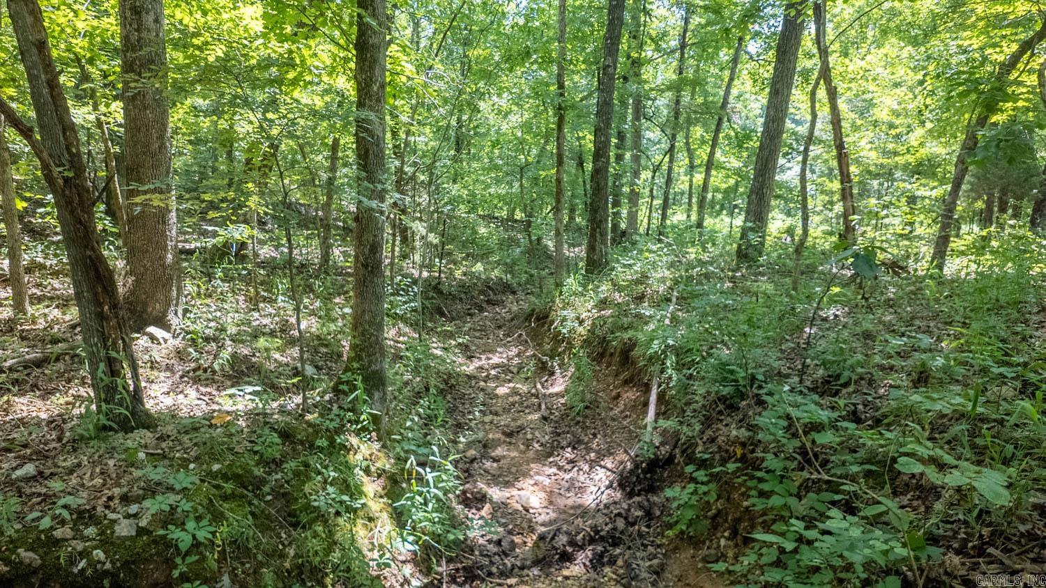 10824 Upper Janes Creek Road Property Photo 16