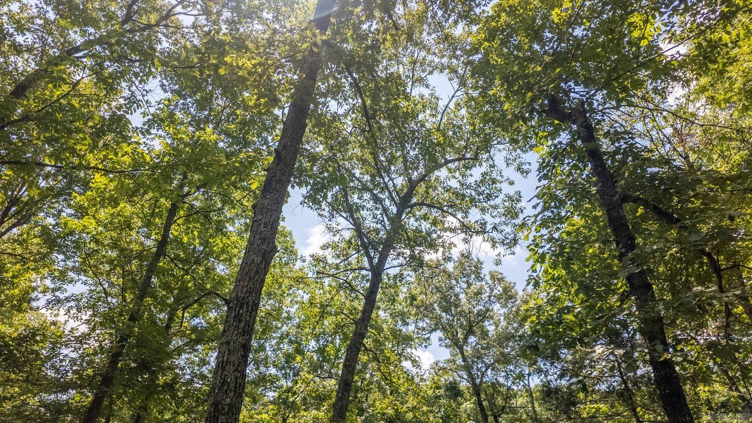 10824 Upper Janes Creek Road Property Photo 19