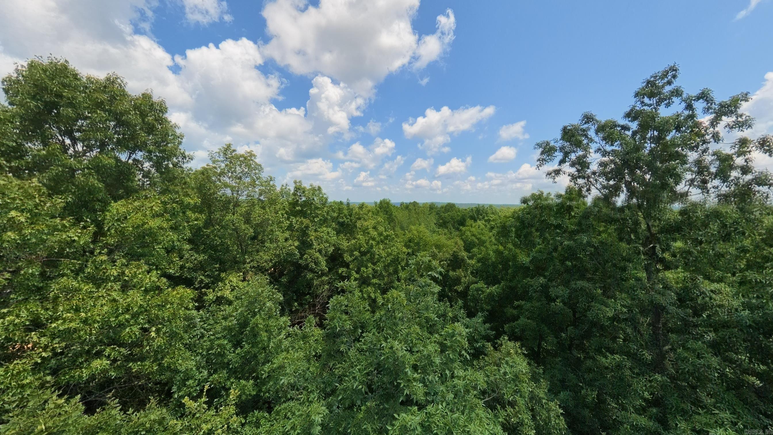 10824 Upper Janes Creek Road Property Photo 37