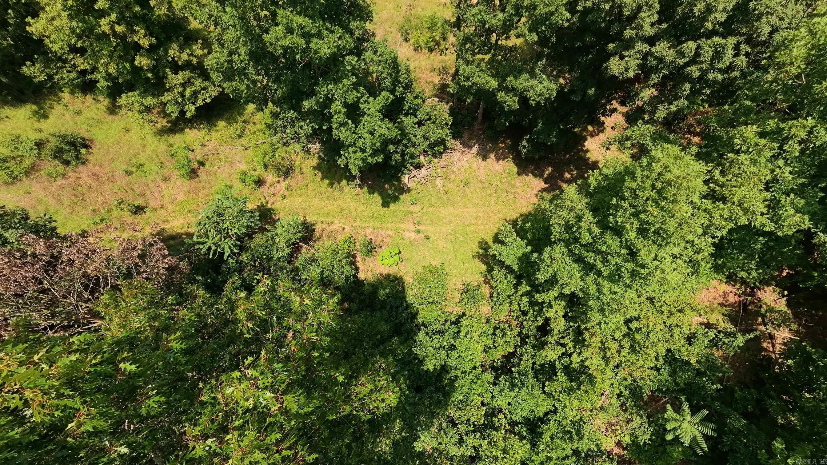 10824 Upper Janes Creek Road Property Photo 40