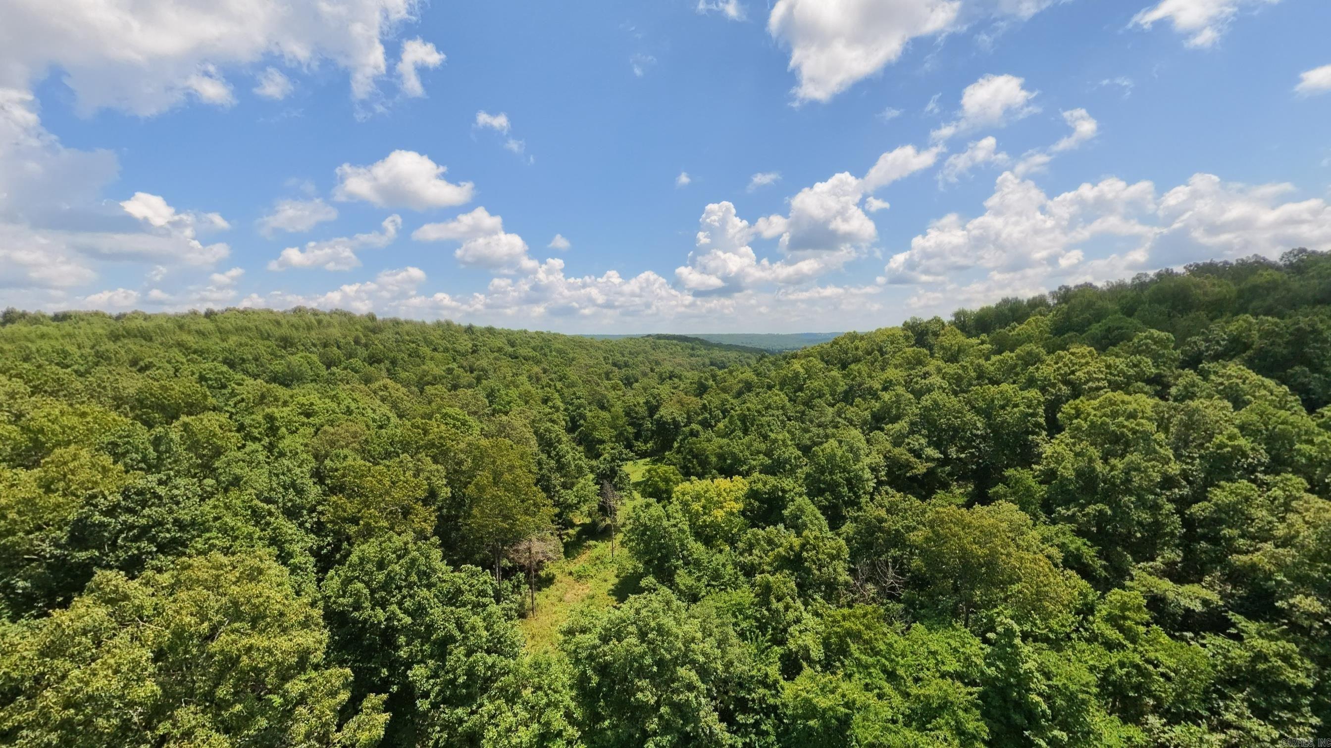 10824 Upper Janes Creek Road Property Photo 46