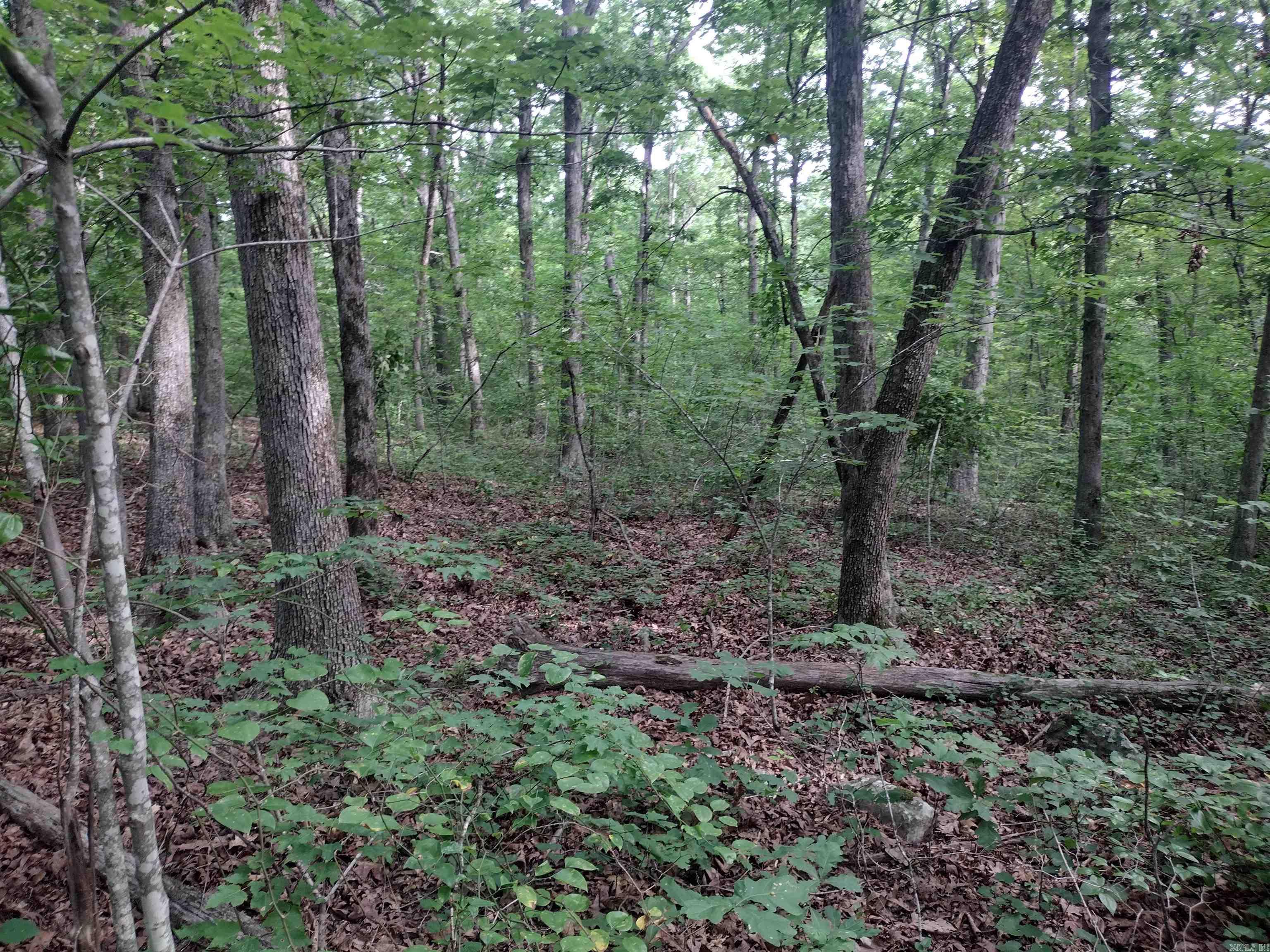 0 Iron Mountain Rd Property Photo 2