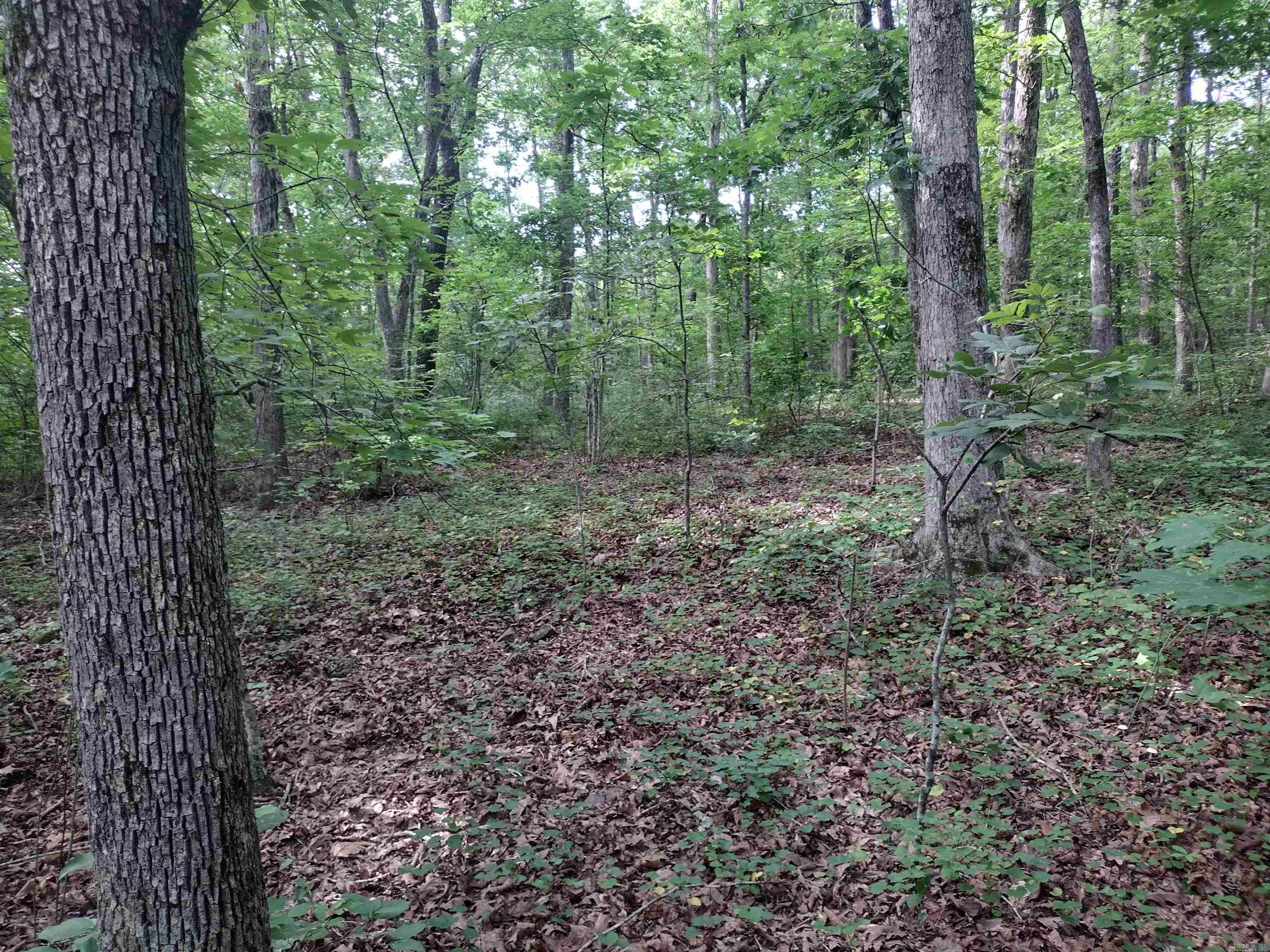 0 Iron Mountain Rd Property Photo 3