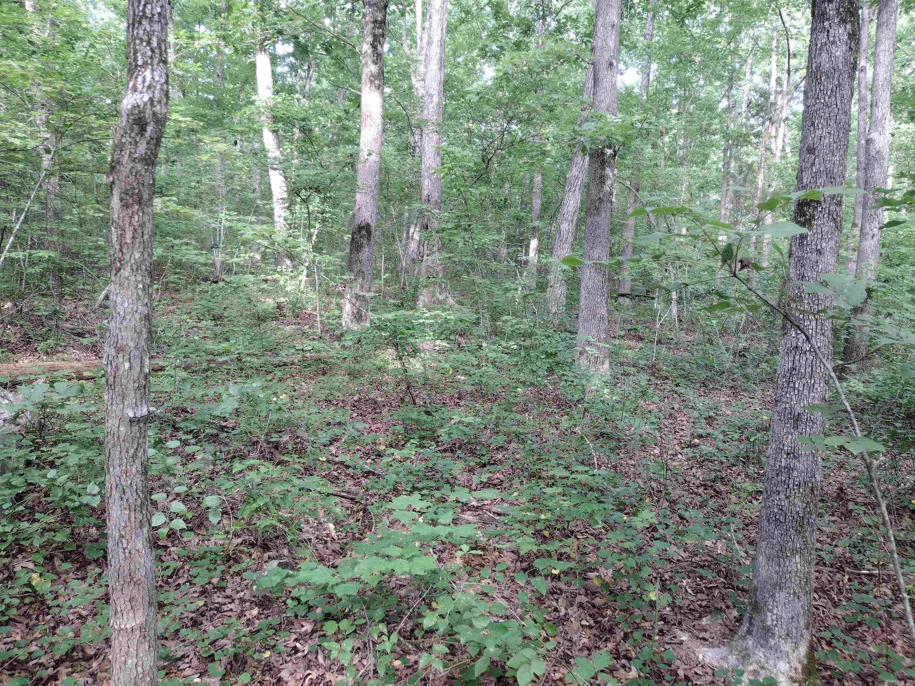0 Iron Mountain Rd Property Photo 4