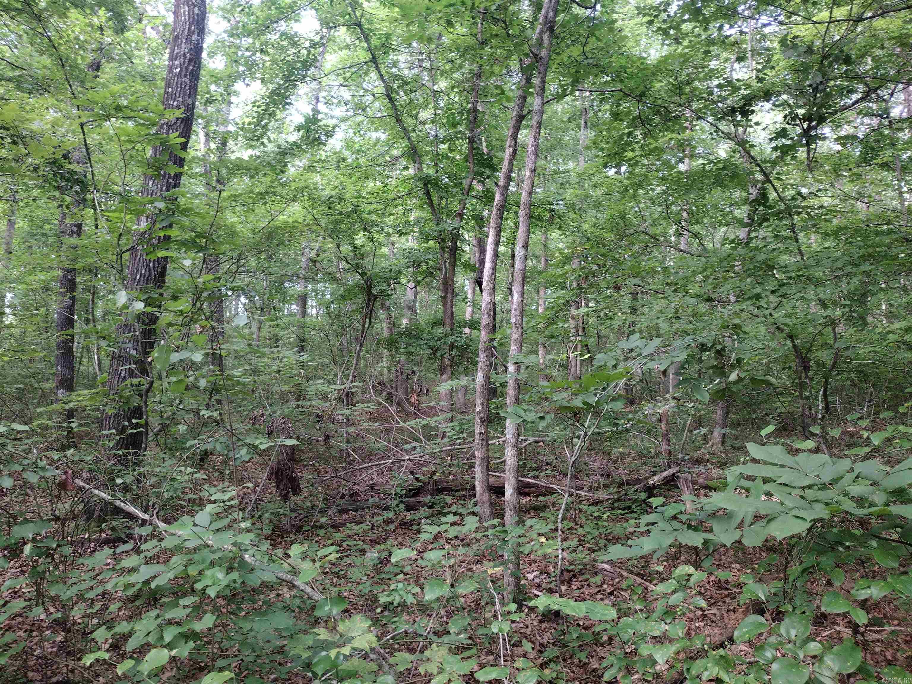 0 Iron Mountain Rd Property Photo 5