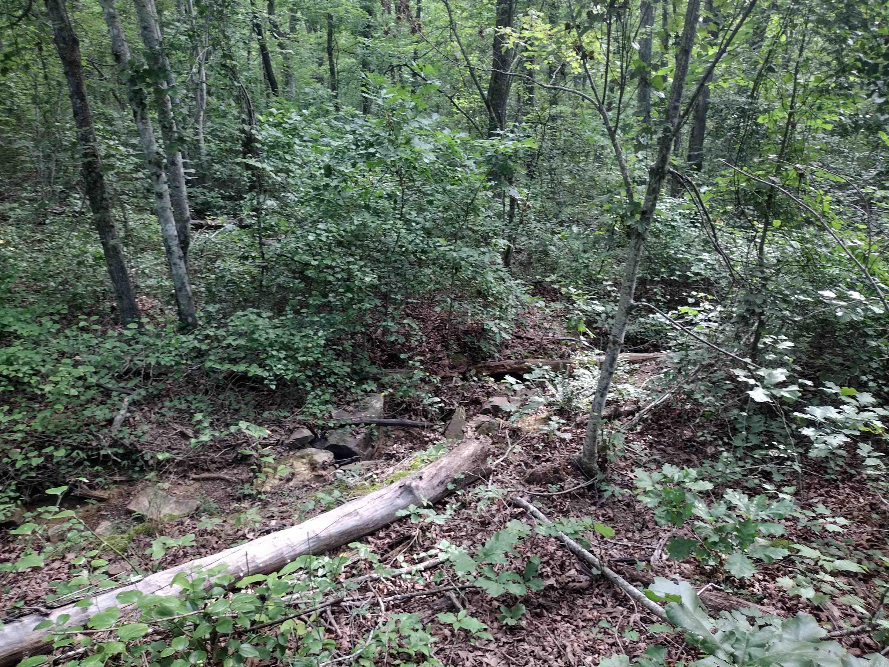 0 Iron Mountain Rd Property Photo 6