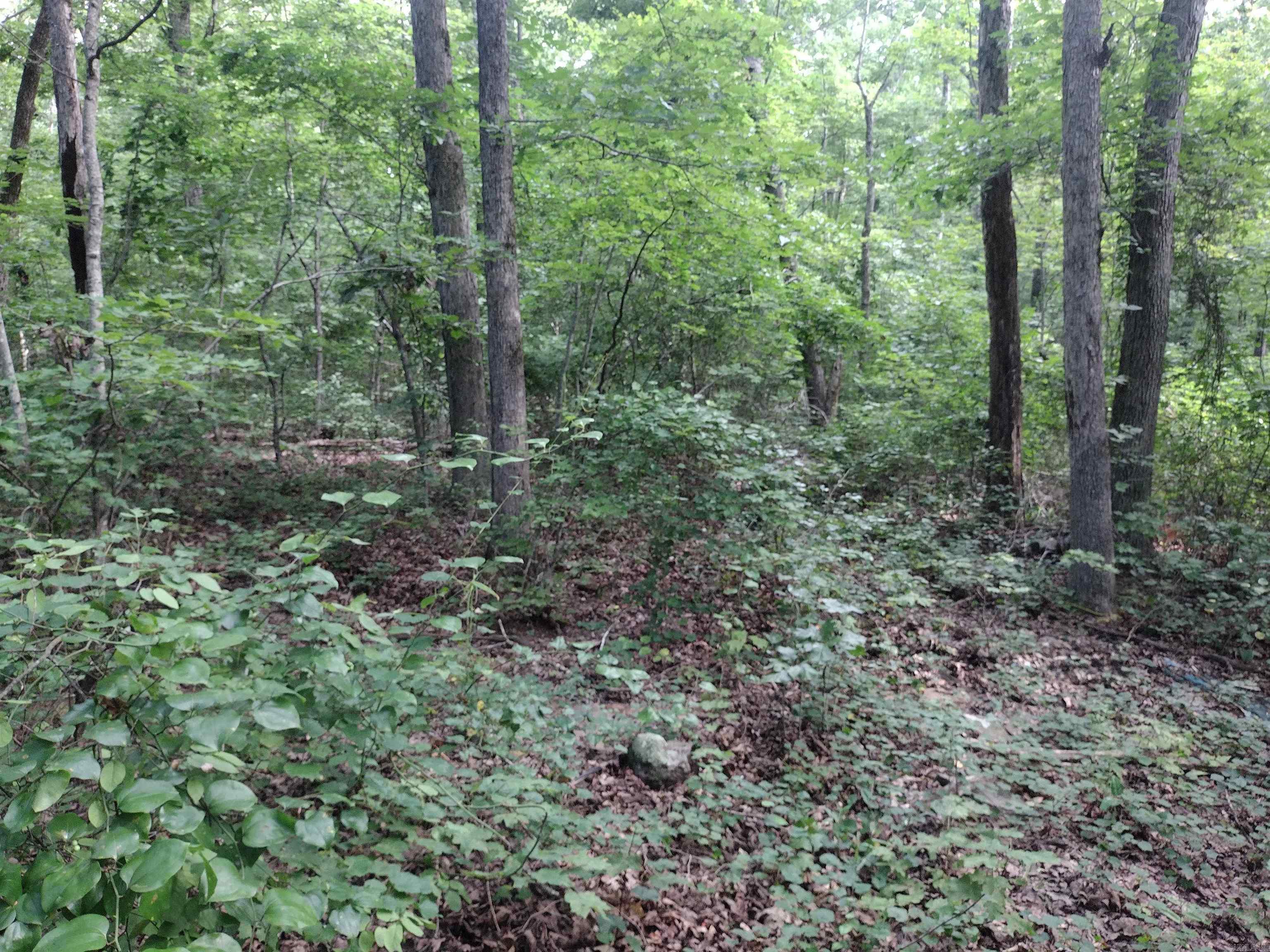 0 Iron Mountain Rd Property Photo 7