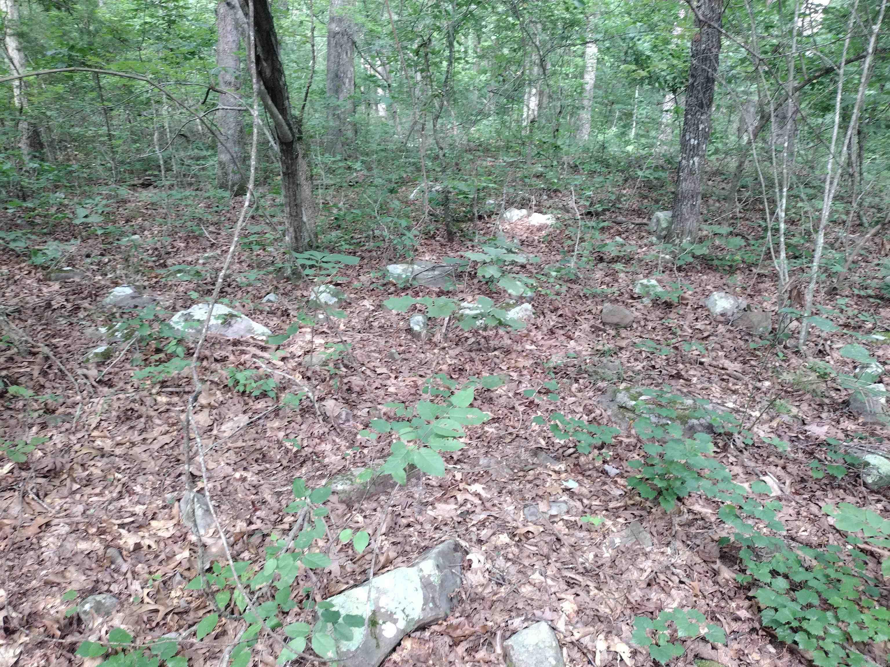 0 Iron Mountain Rd Property Photo 8