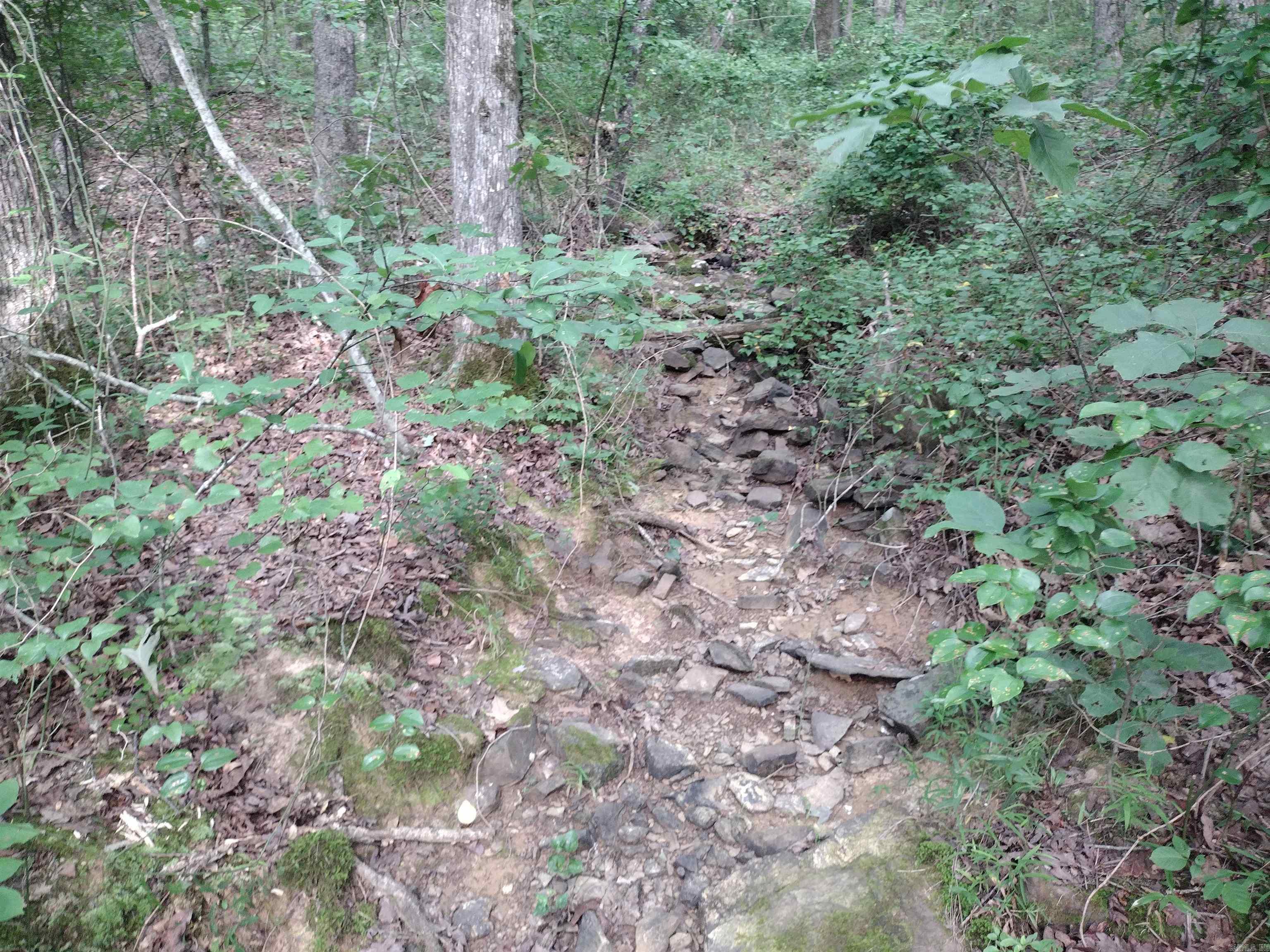 0 Iron Mountain Rd Property Photo 9