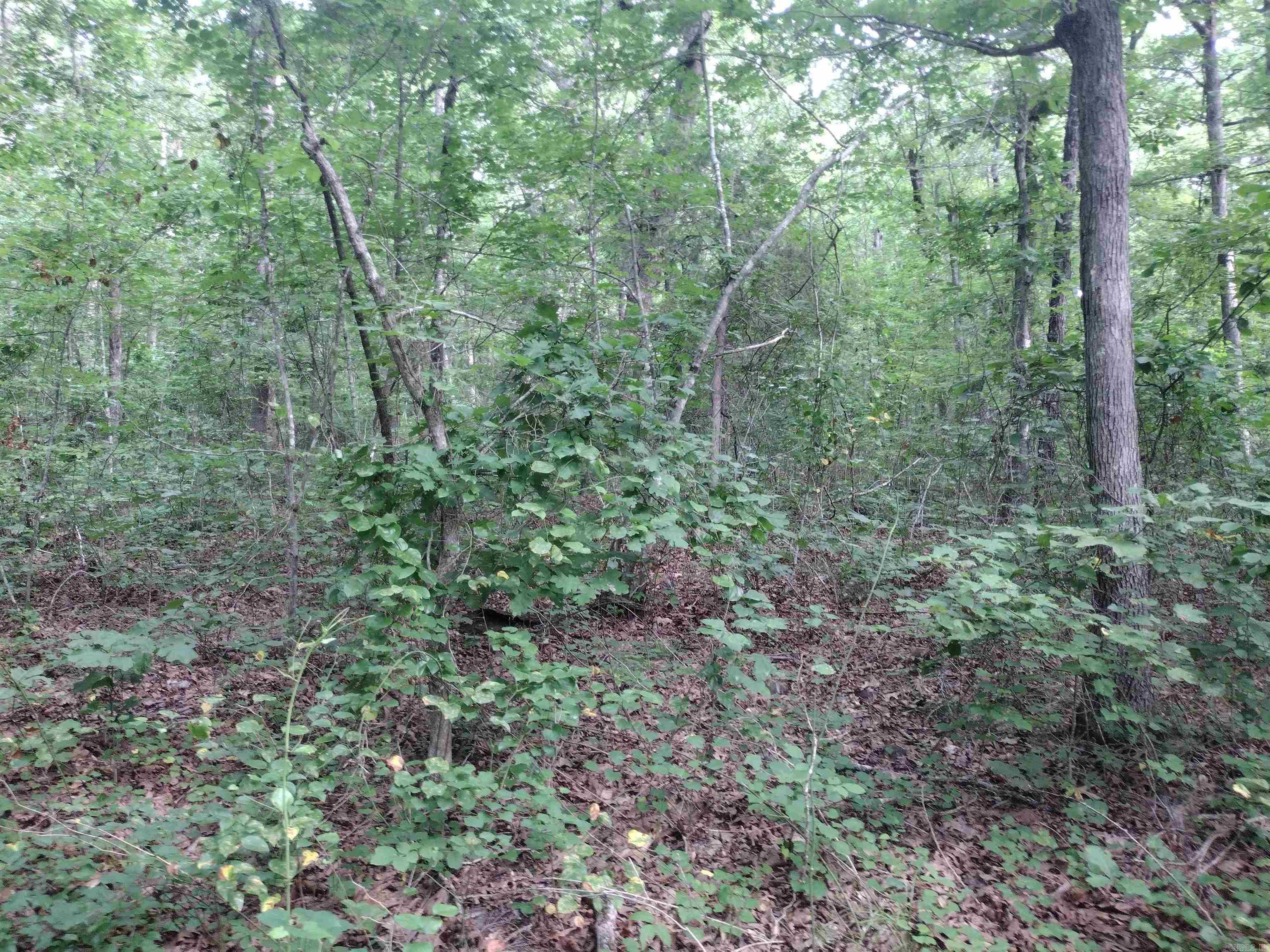 0 Iron Mountain Rd Property Photo 10